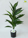 Artificial Green Iceton Croton Plant – 71 cm, 26 Leaves, with Pot