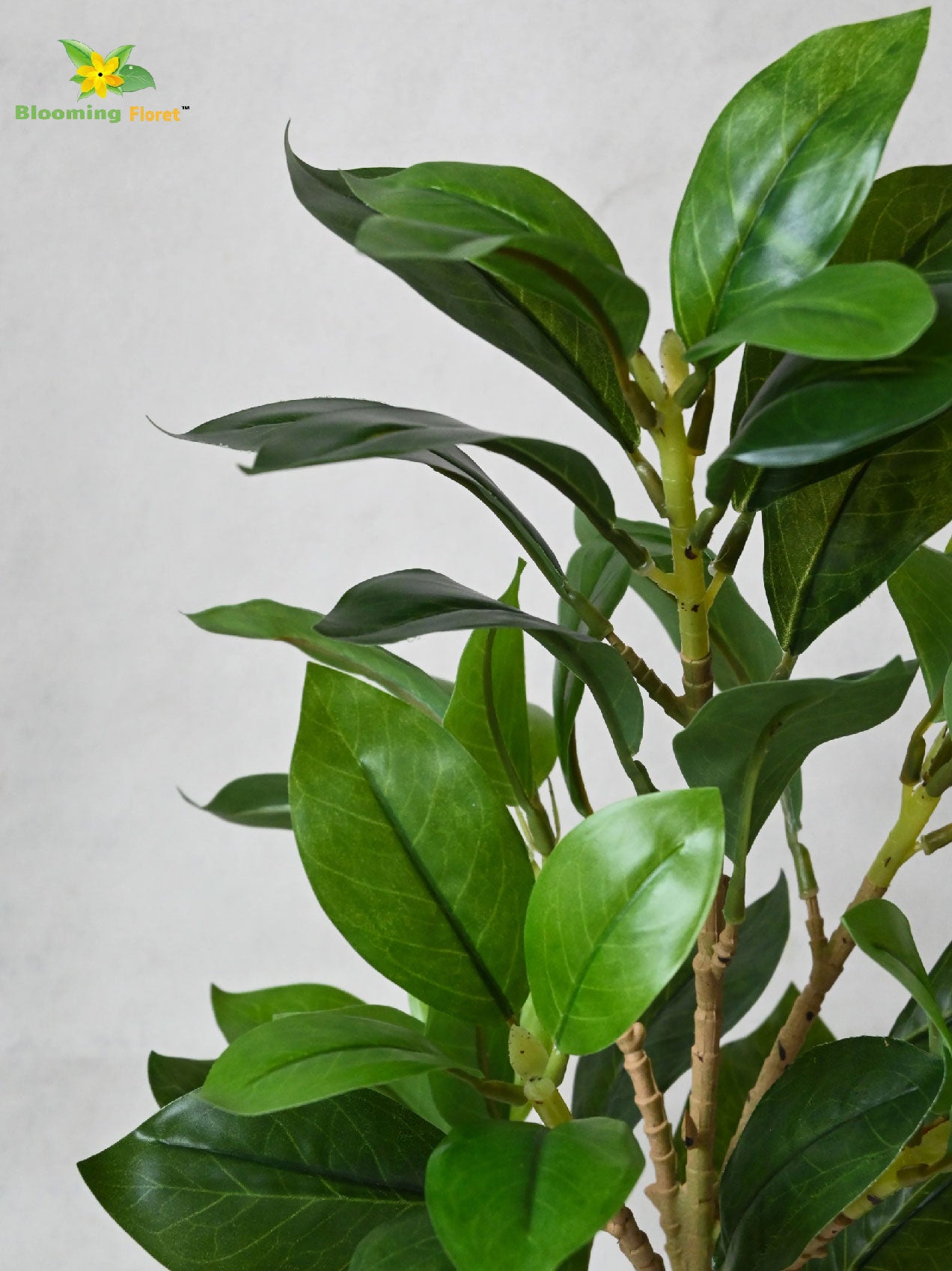 Artificial Zamioculcas Zamiifolia Green Plant – 45 cm, with Basic Pot