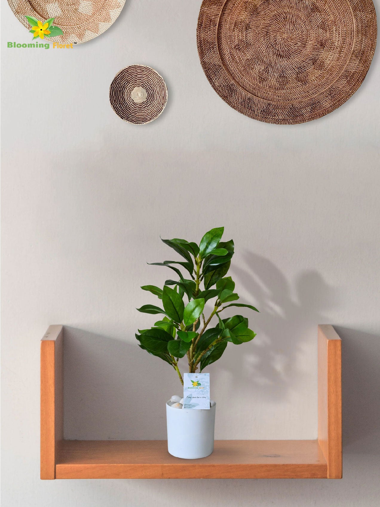 Artificial Zamioculcas Zamiifolia Green Plant – 45 cm, with Basic Pot