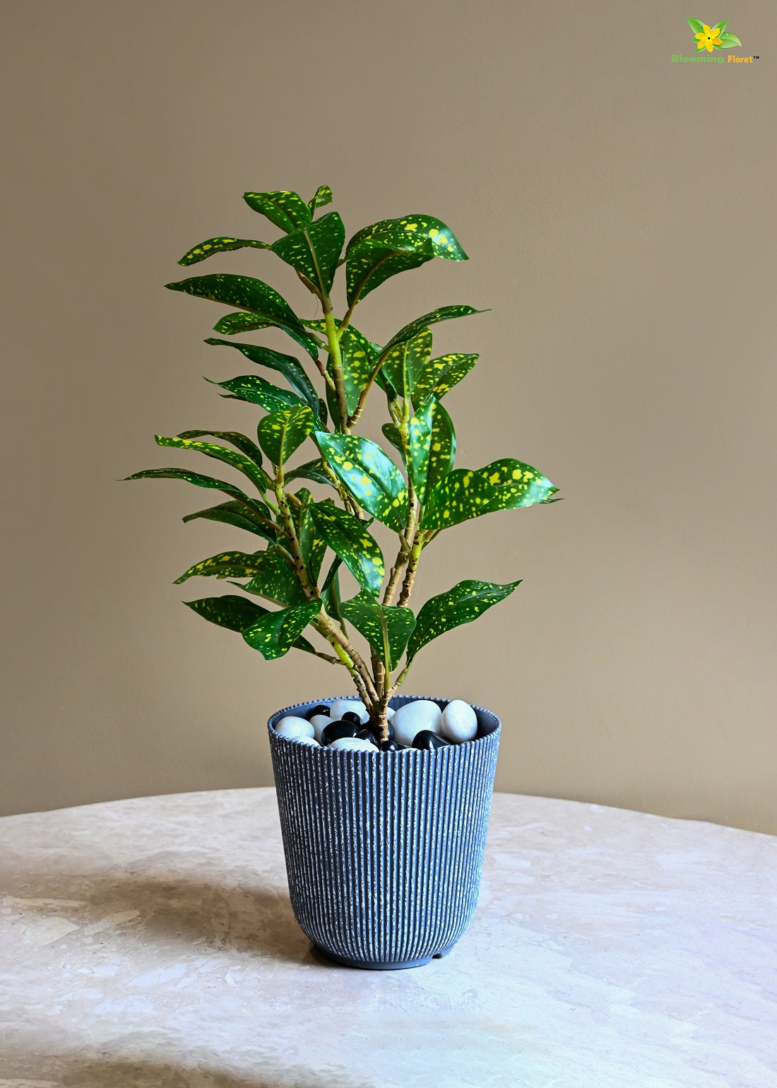 Ribbed Pattern Round Planter