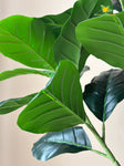 Artificial Jungle Velvet Plant – 95 cm, 33 Leaves, with Basic Pot
