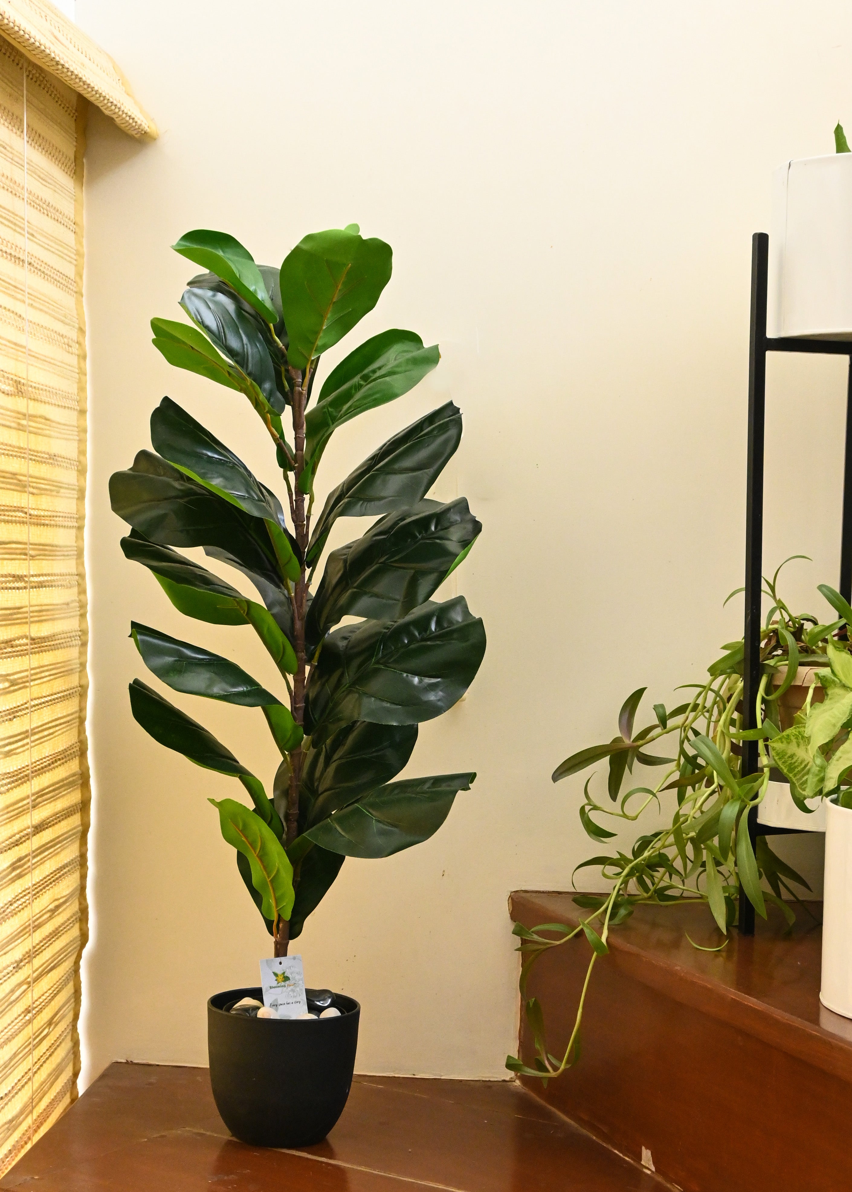 Artificial Fiddle-Leaf Fig Plant for Decor 21 Leaves with Basic Pot | 86.3 cm