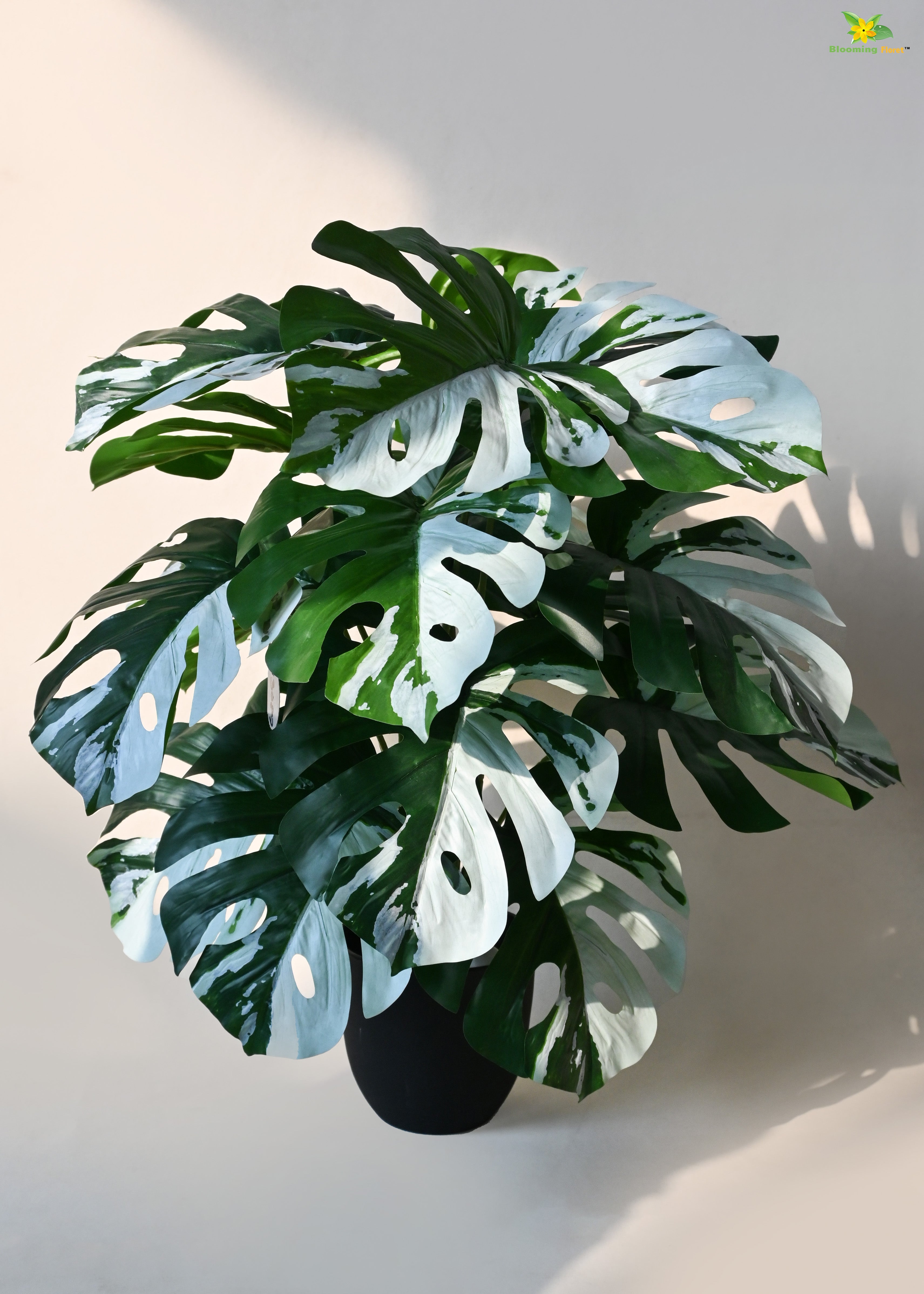 Artificial Monstera Plant for Decor | 18 Leaves with Basic Pot | 78.7 cm