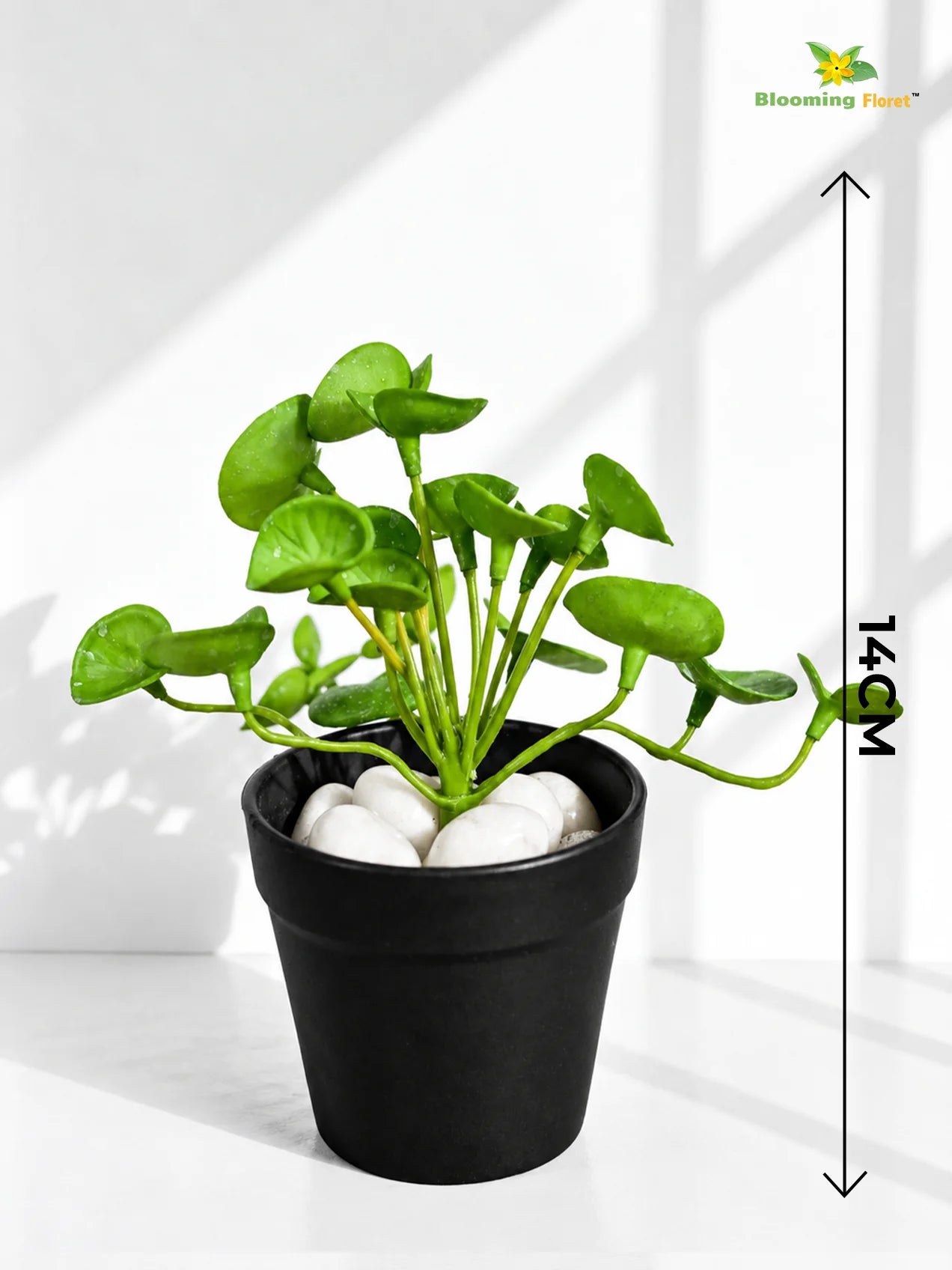 Lush Leaf Pennywort Artificial Succulent | Light Green & White Patterned | 14 cm | Set of 3