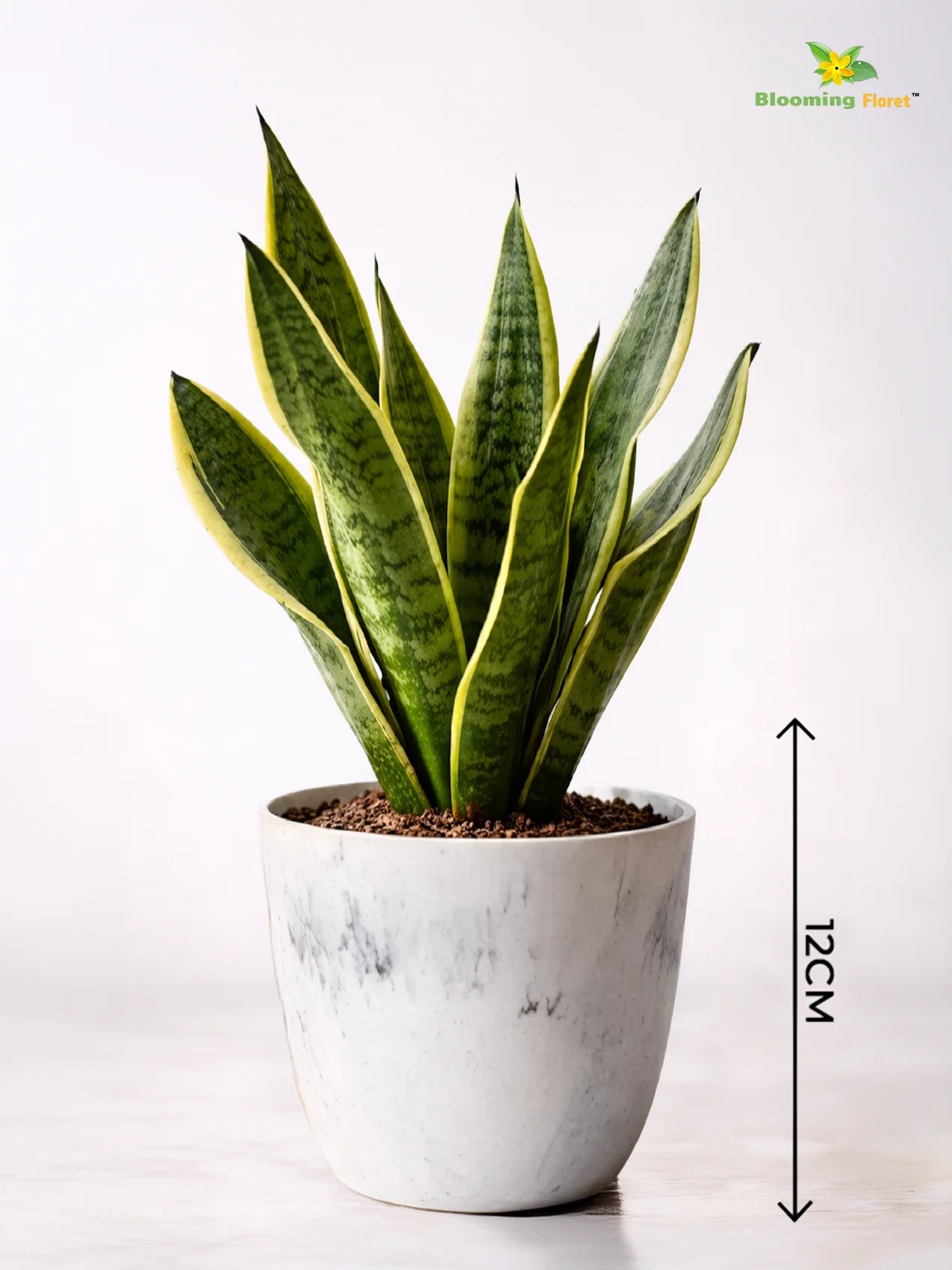 Vivid Tie-Dye Planter | Blue | 12 cm | Set of 3