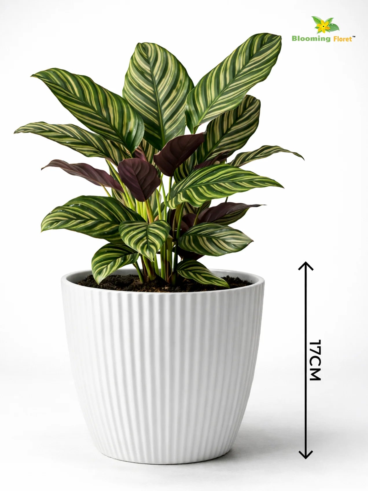 Elegant Ribbed Melamine Pot | White | 16 cm