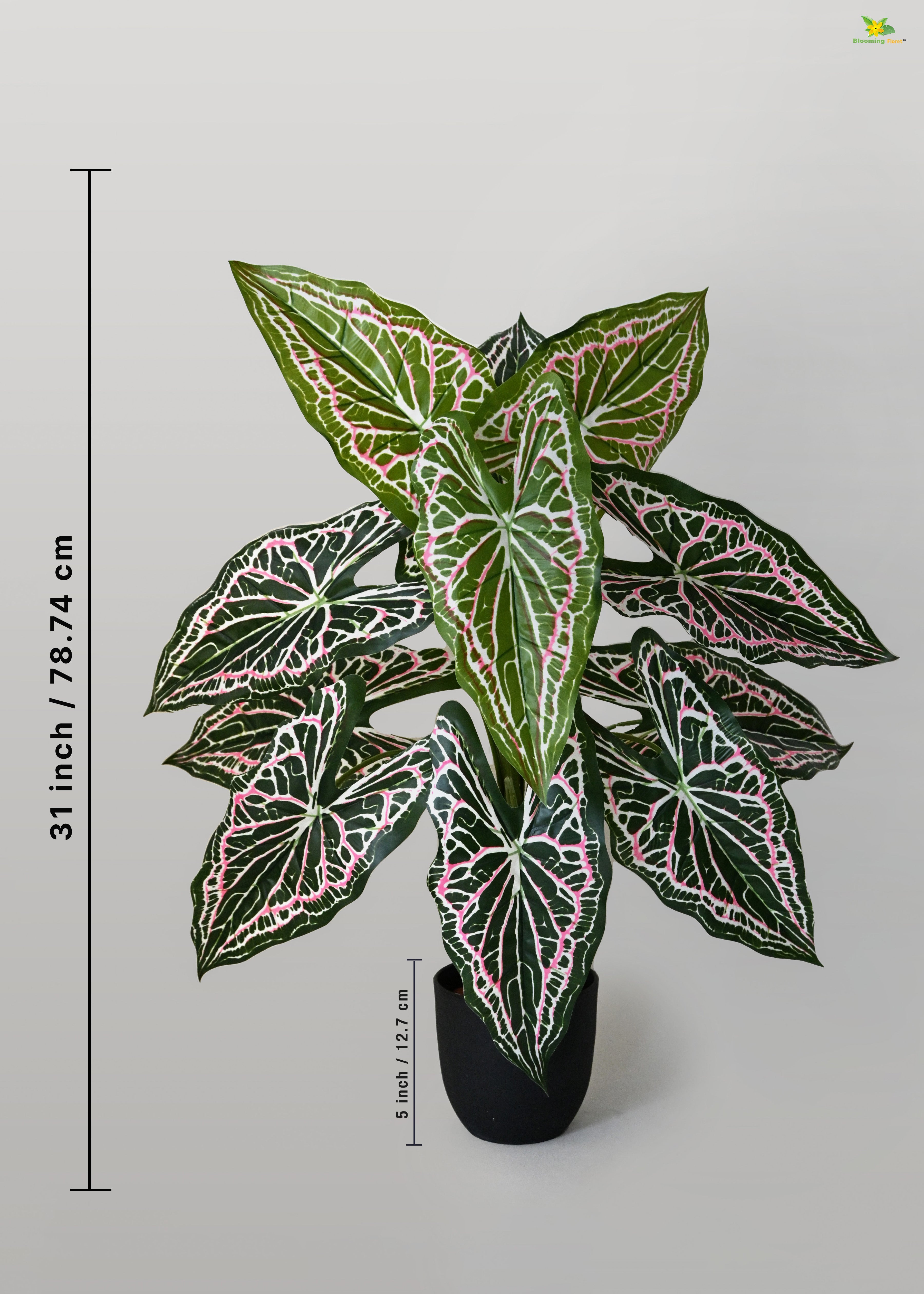 Artificial Web Pattern Caladium Plant for Decor | 12 Leaves with Basic Pot | 78.7 cm