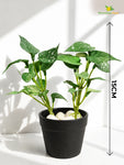 Artificial Money Plant Succulent | Small Green Leaves | 15 cm | Set of 3