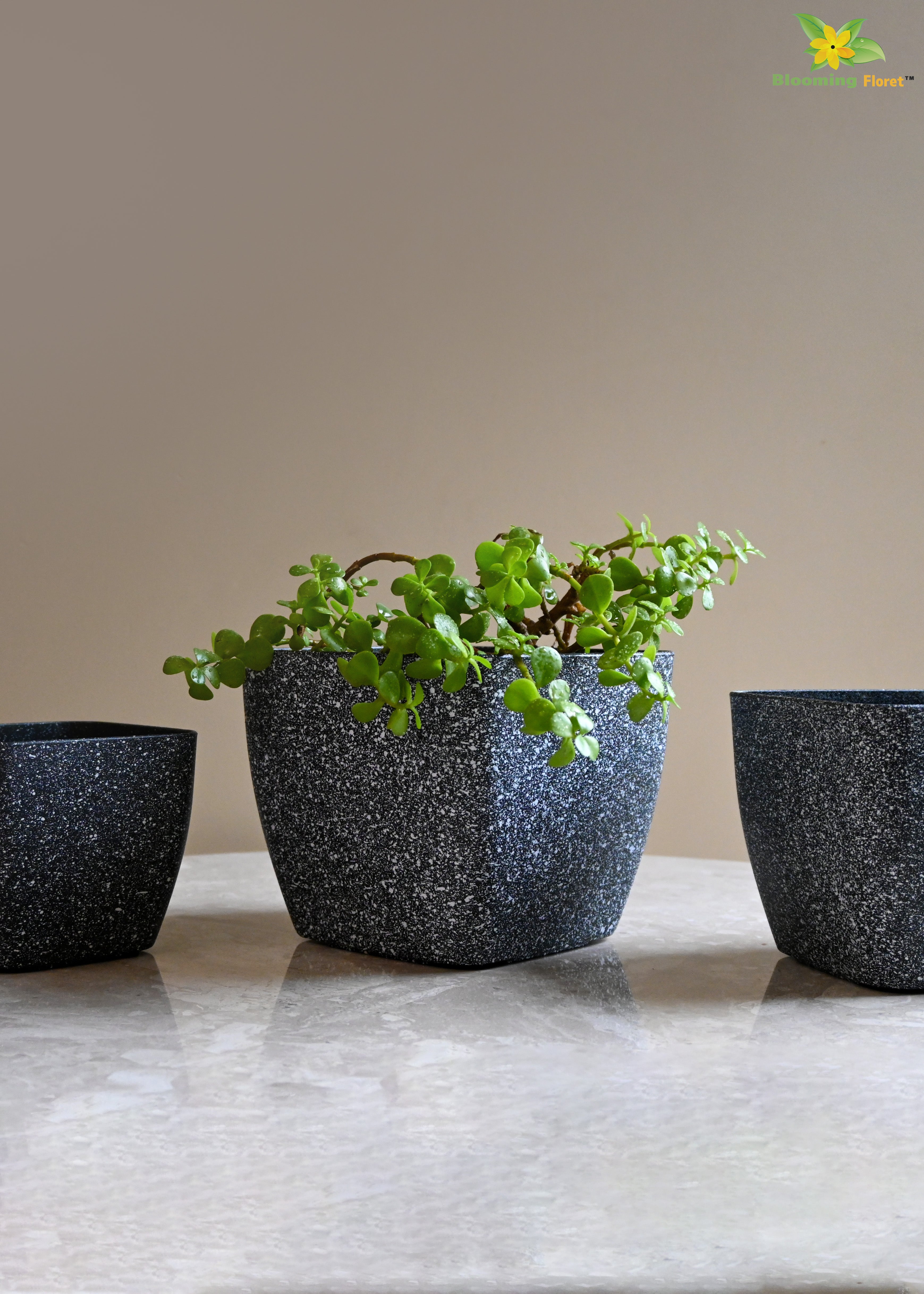 Coarse Textured Square Planter Pot