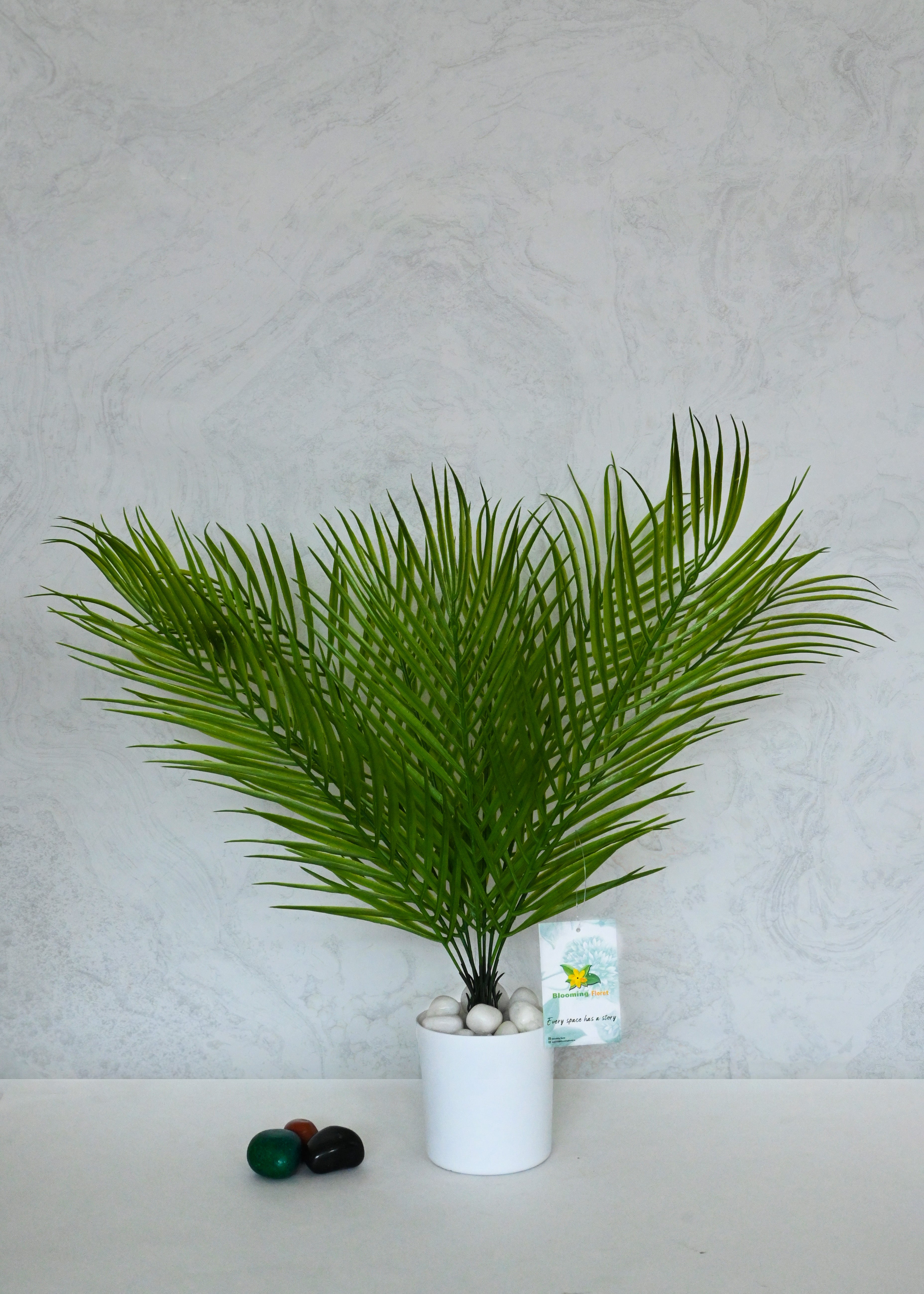 Eternal Zen Areca Palm Plant | Dark Green