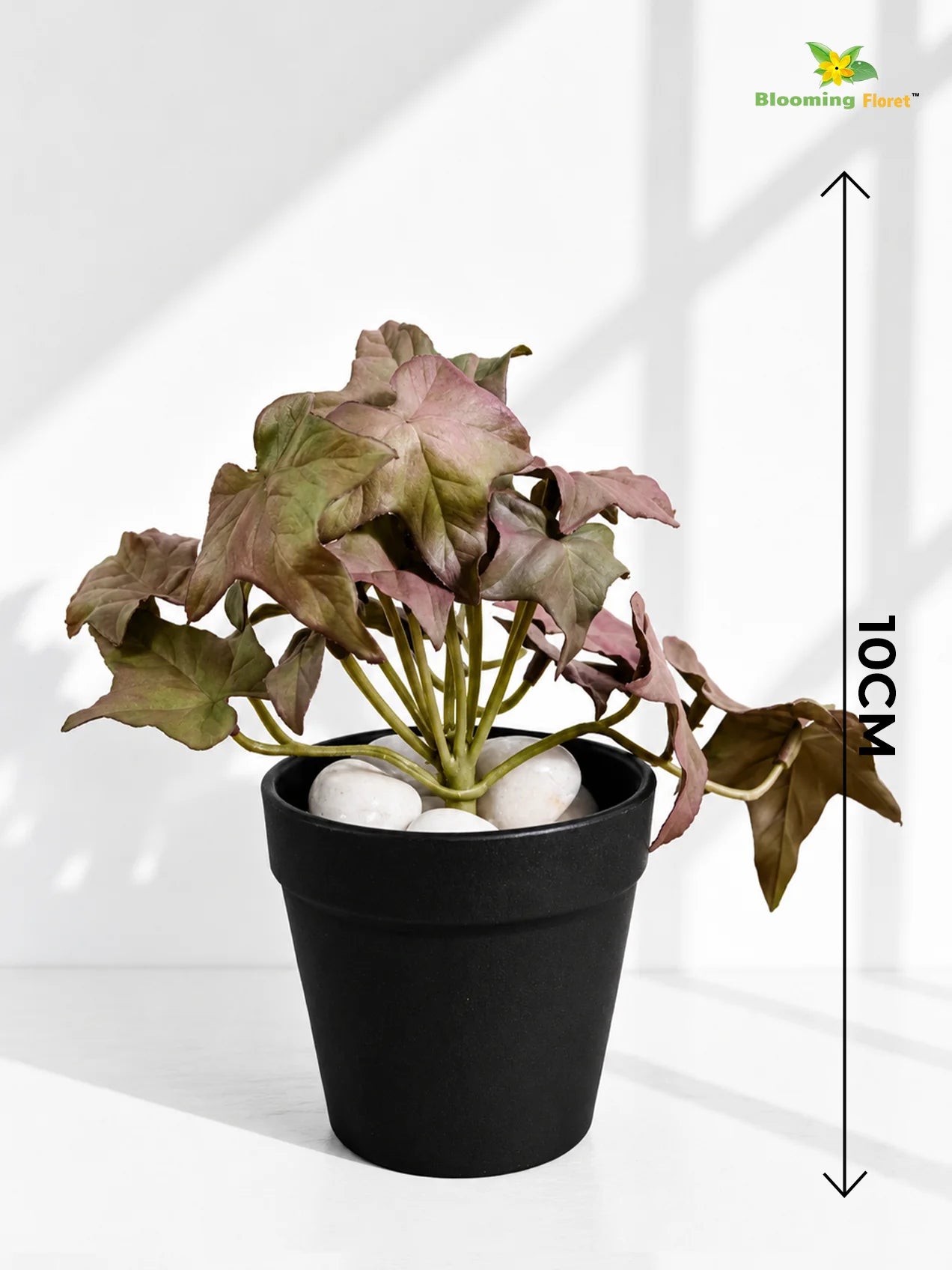 Artificial Ivy Succulent | Army Green | 10 cm | Set of 3