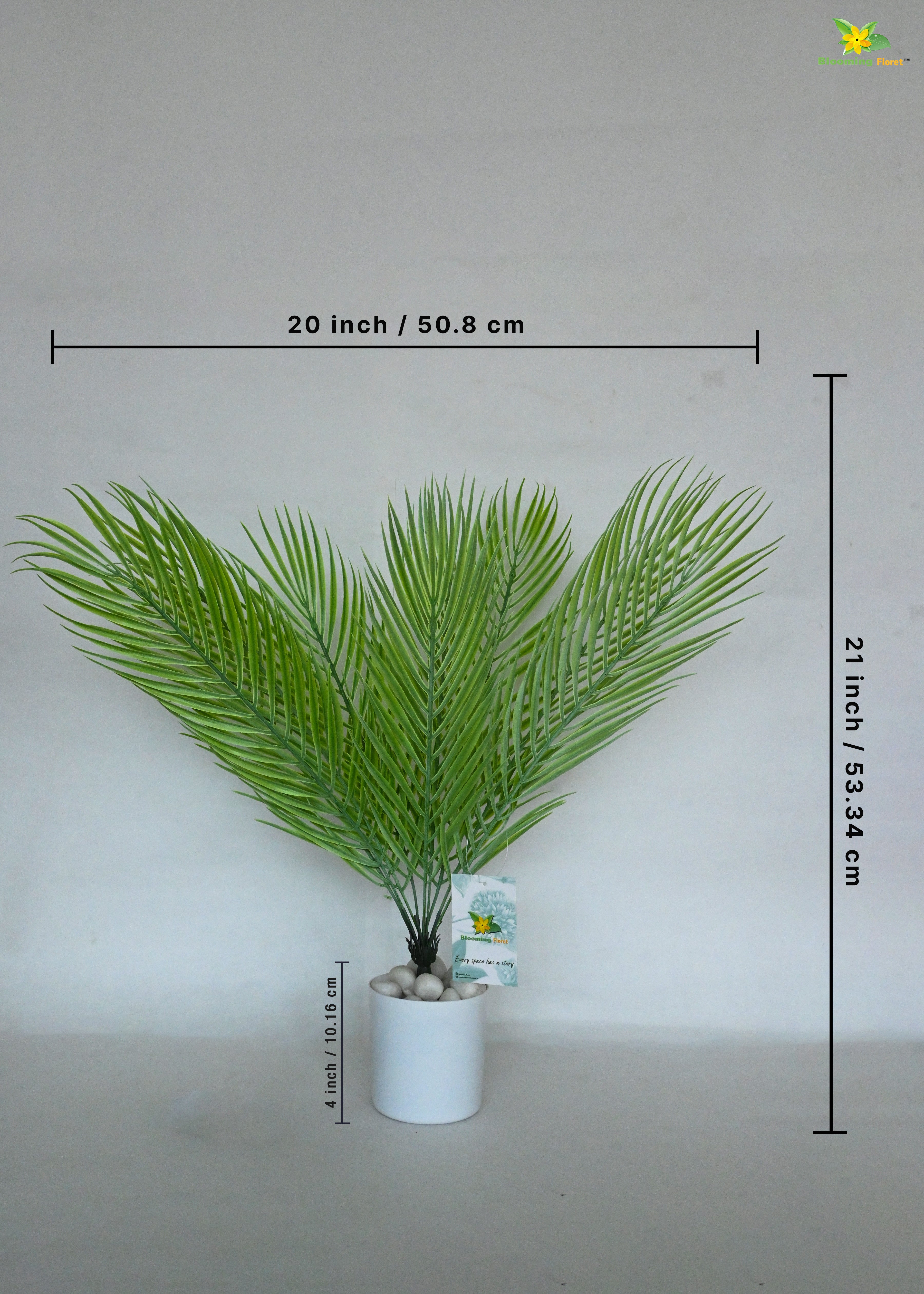 Eternal Zen Areca Palm Plant | Light Green