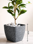 Coarse Textured Square Planter Pot | 10 cm | Set of 3