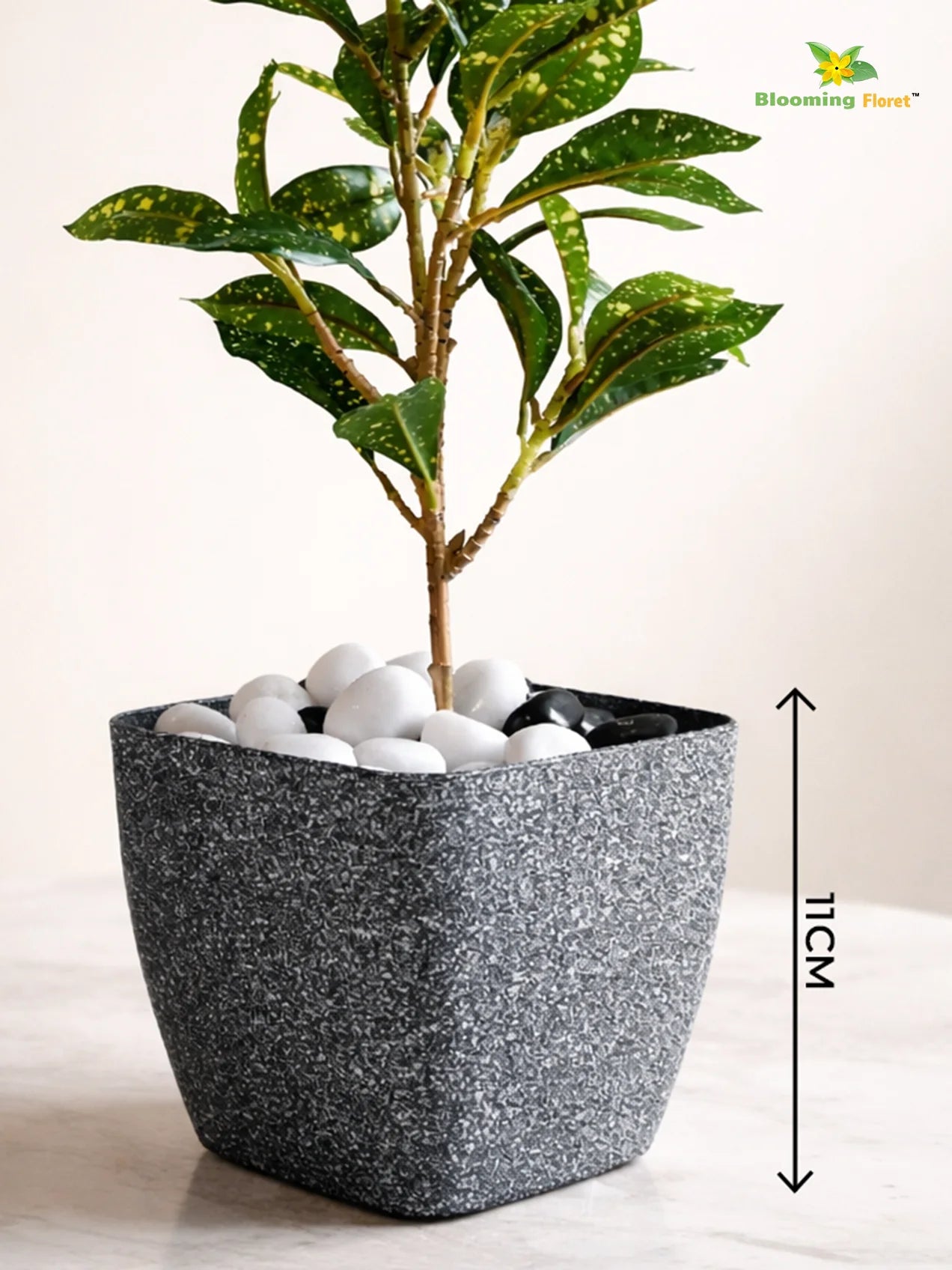 Coarse Textured Square Planter Pot | 10 cm | Set of 3