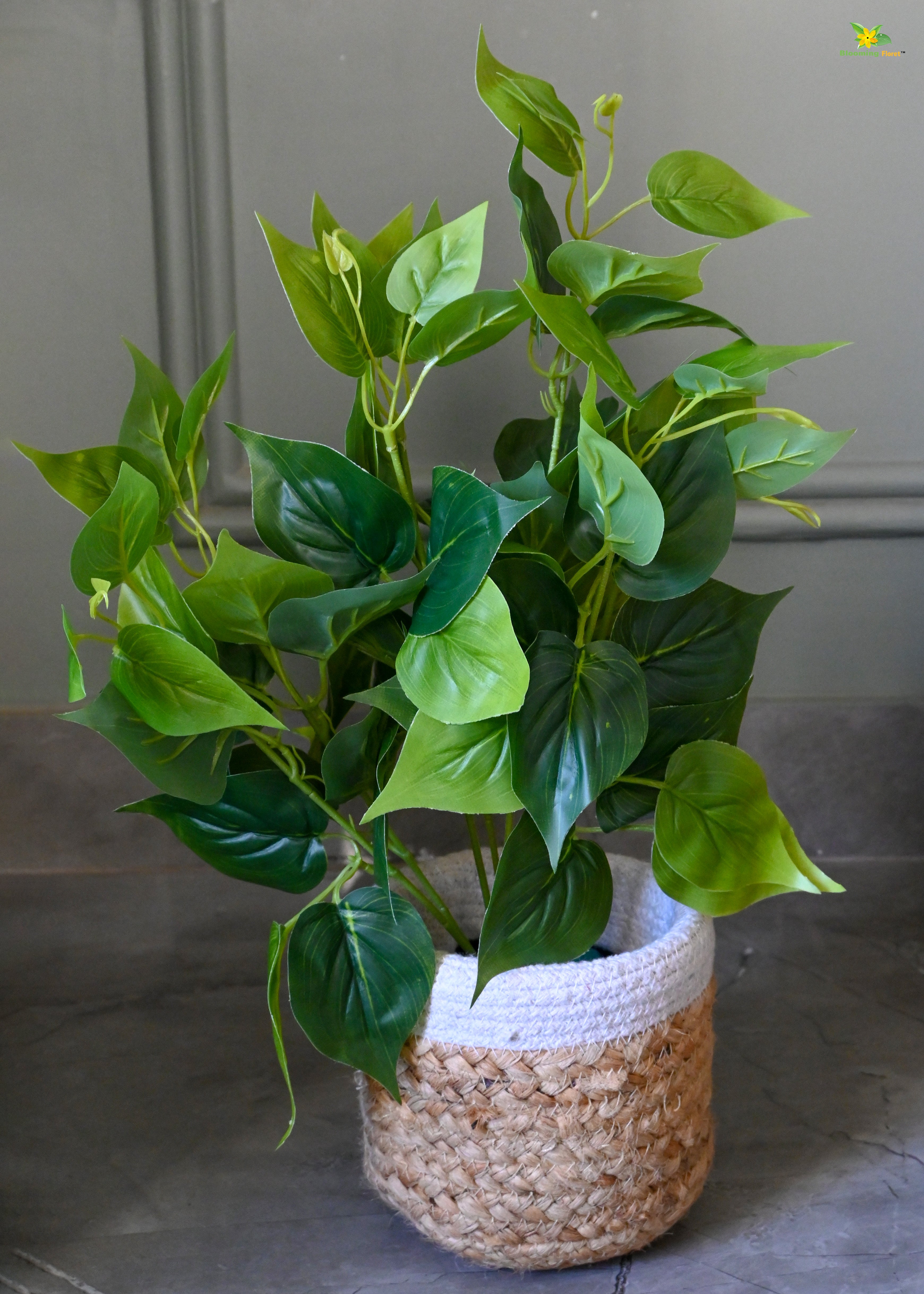 Artificial Jade Pothos for Decor | with Basic Pot | 48.3 cm