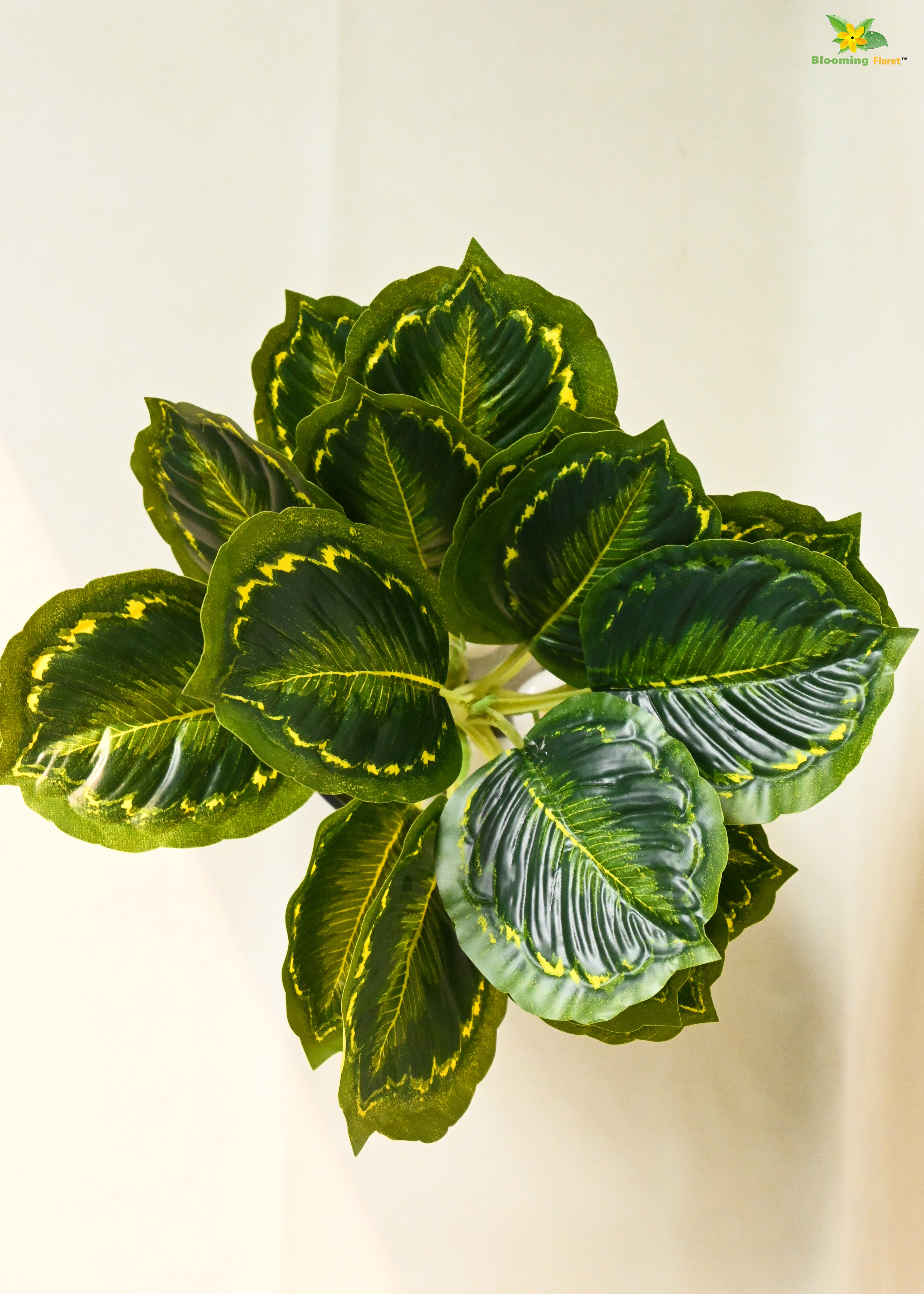 Artificial Calathea Roseopicta Plant For Decor | 18 Leaves with Basic Pot | 33 cm