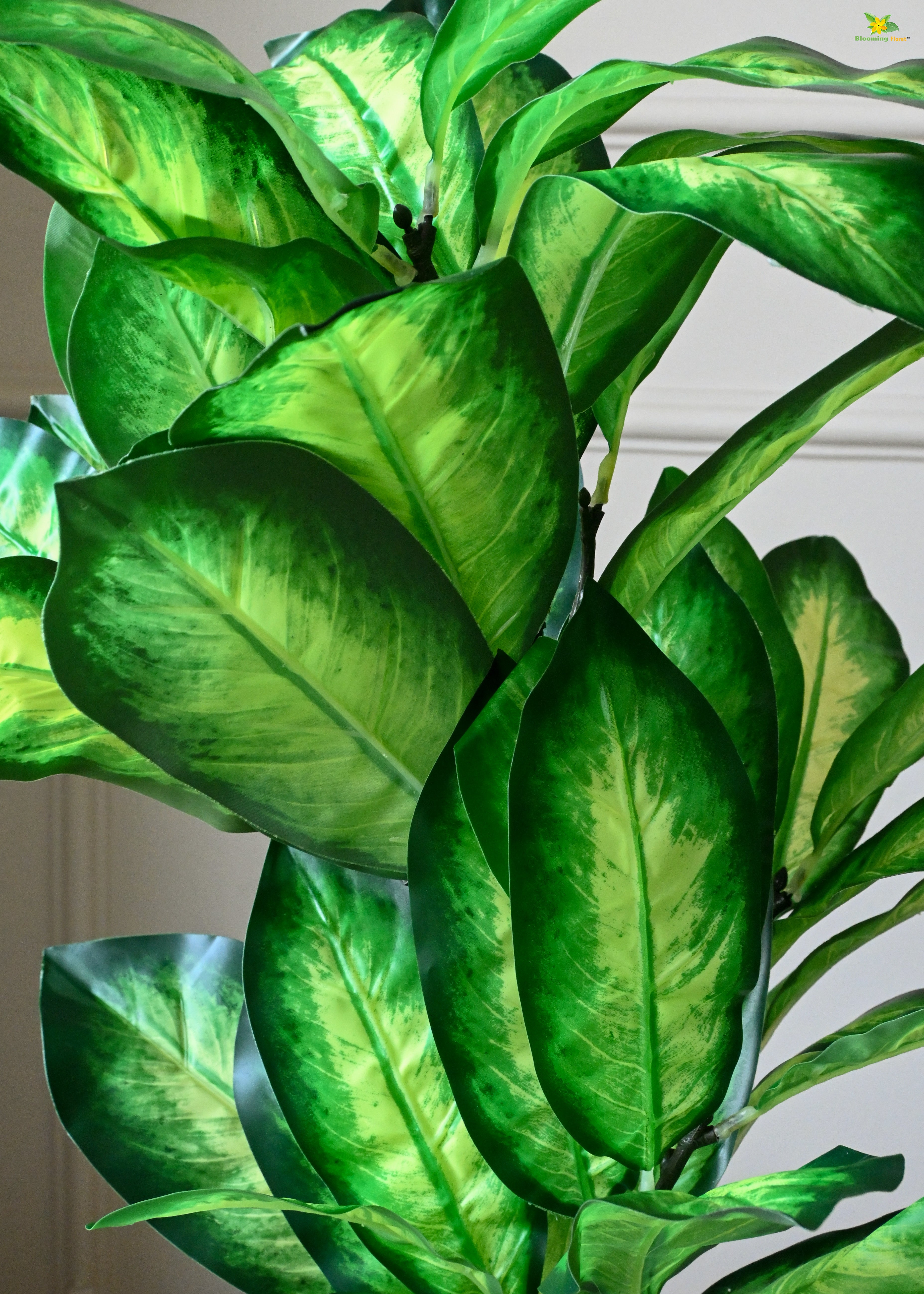 Artificial Dieffenbachia Seguine Plant for Decor 30 Leaves with Basic Pot | 65 cm