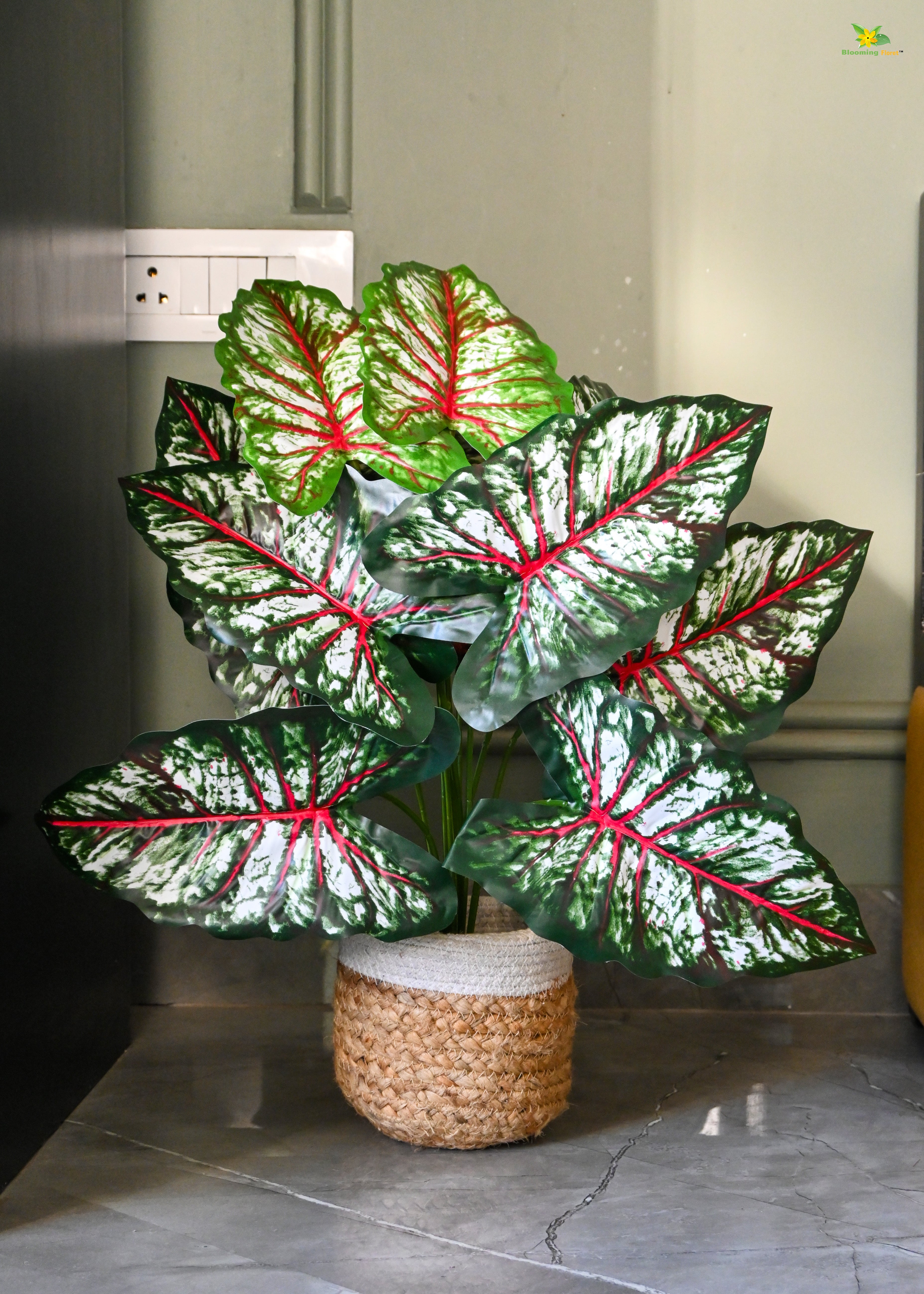 Artificial Tropical Caladium Plant for Decor | 12 Leaves with Basic Pot | 65 cm