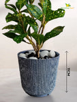 Ribbed Pattern Round Planter | 11.5 cm