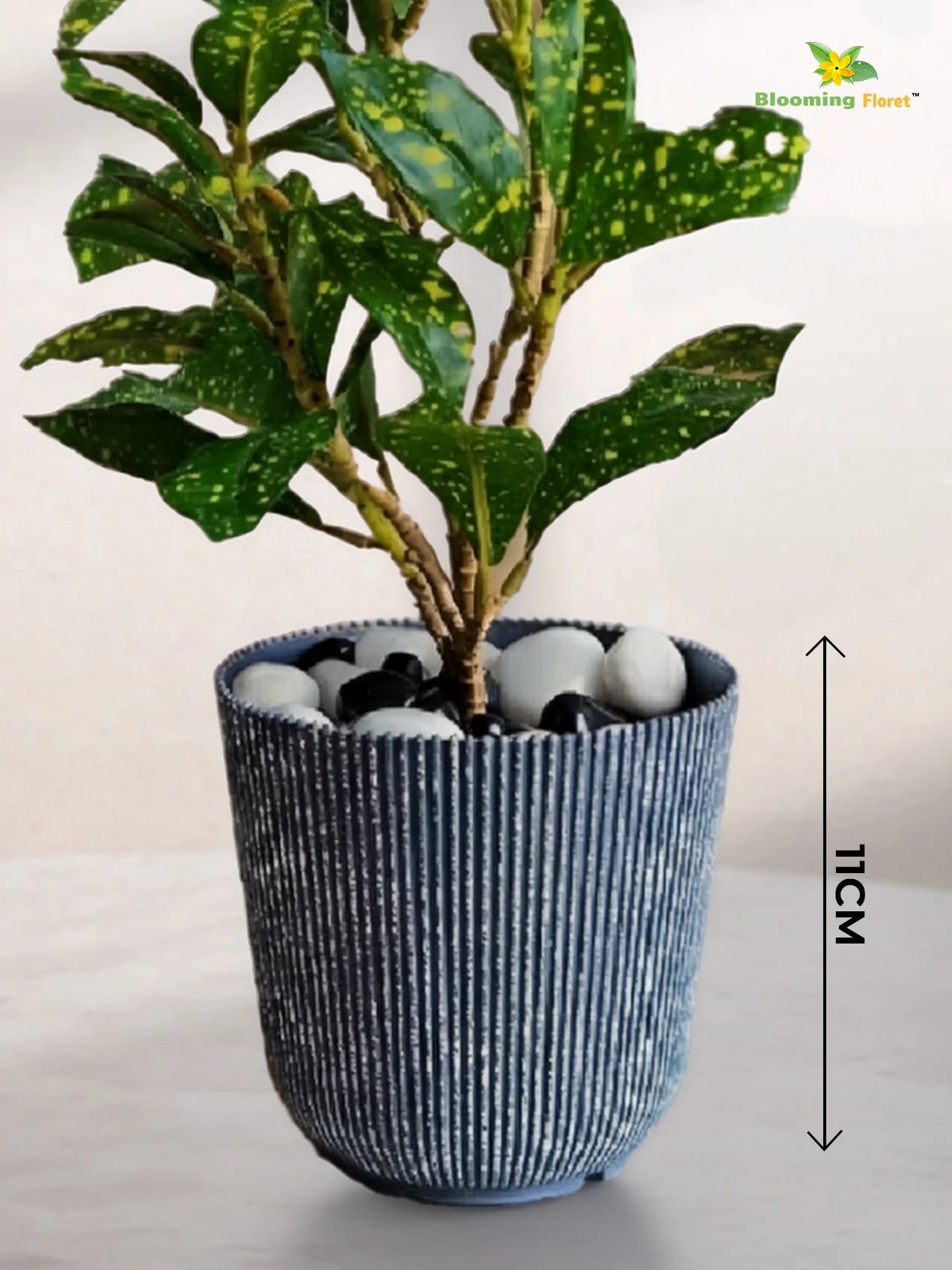 Ribbed Pattern Round Planter | 11.5 cm