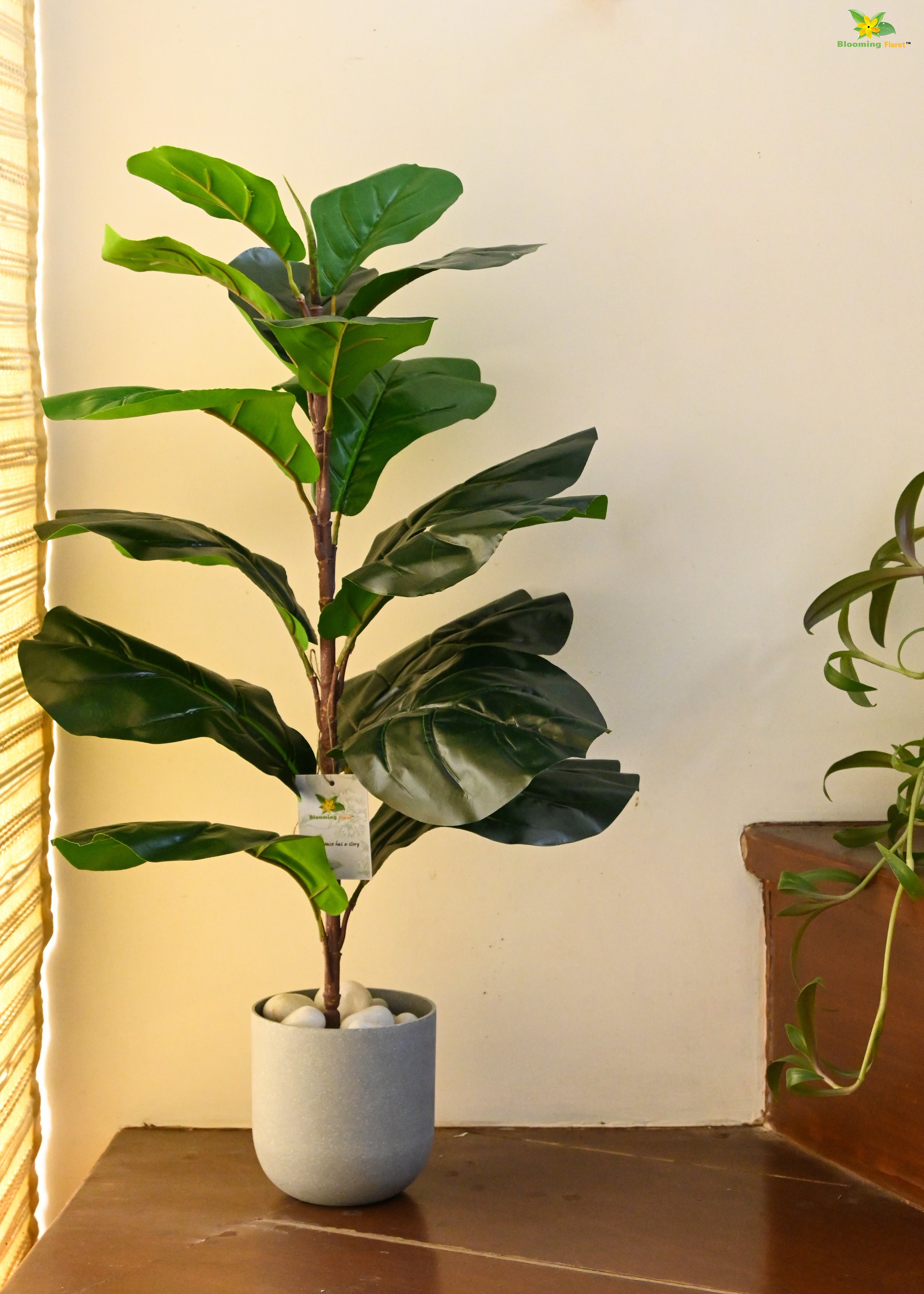 Artificial Fiddle-Leaf Fig Plant for Decor 16 Leaves with Basic Pot | 66 cm