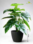Elegant Ribbed Melamine Pot | Black | 16 cm