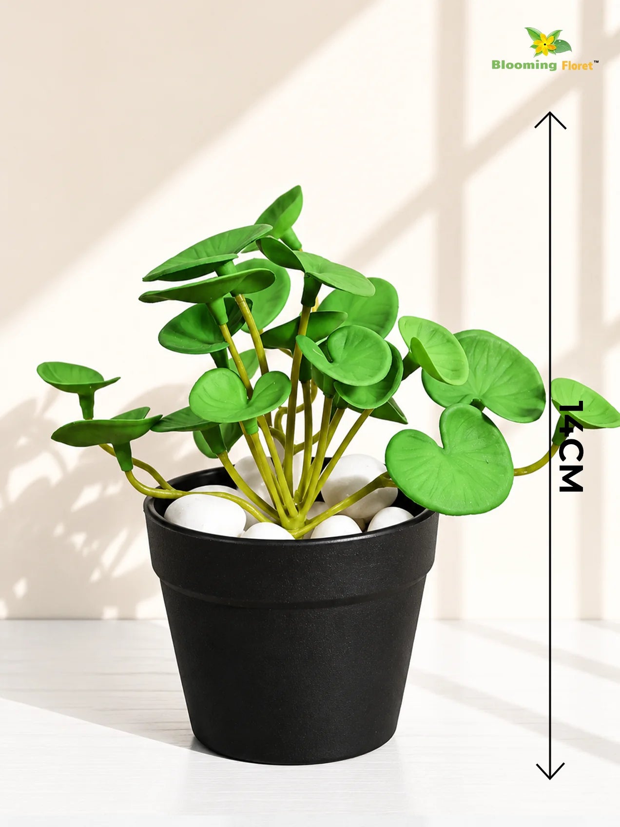 Lush Leaf Pennywort Artificial Succulent | Light Green | 14 cm