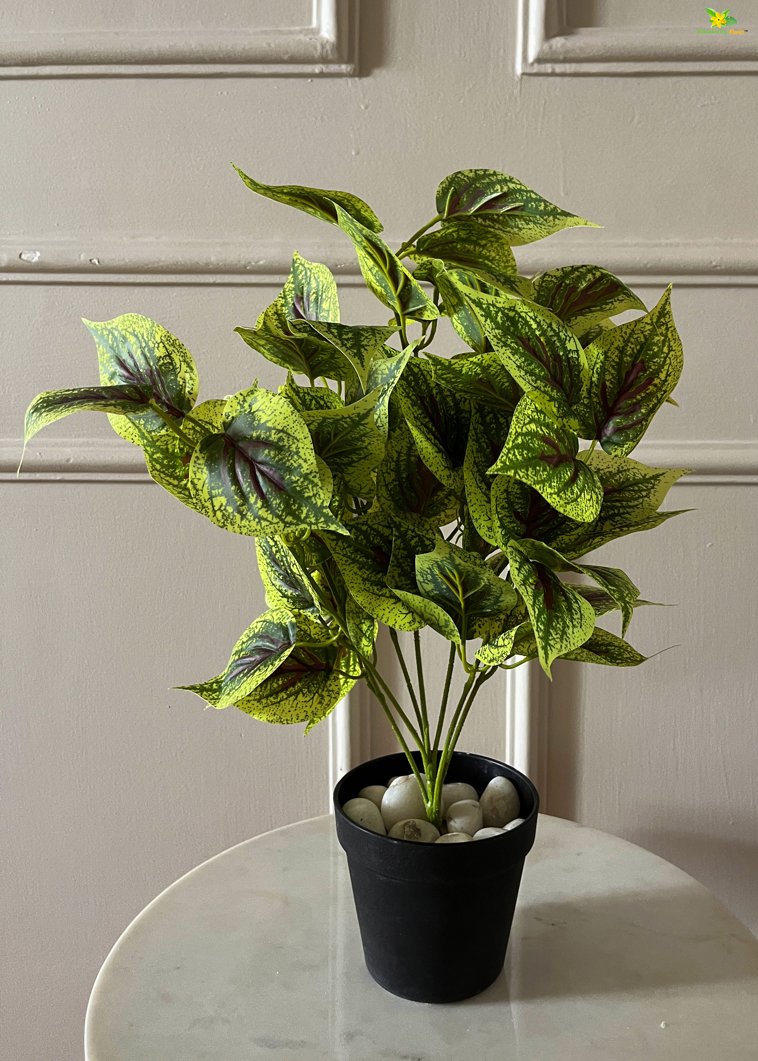 Artificial Dragon Heart Coleus Plant for Decor | with Basic Pot | 48.3 cm