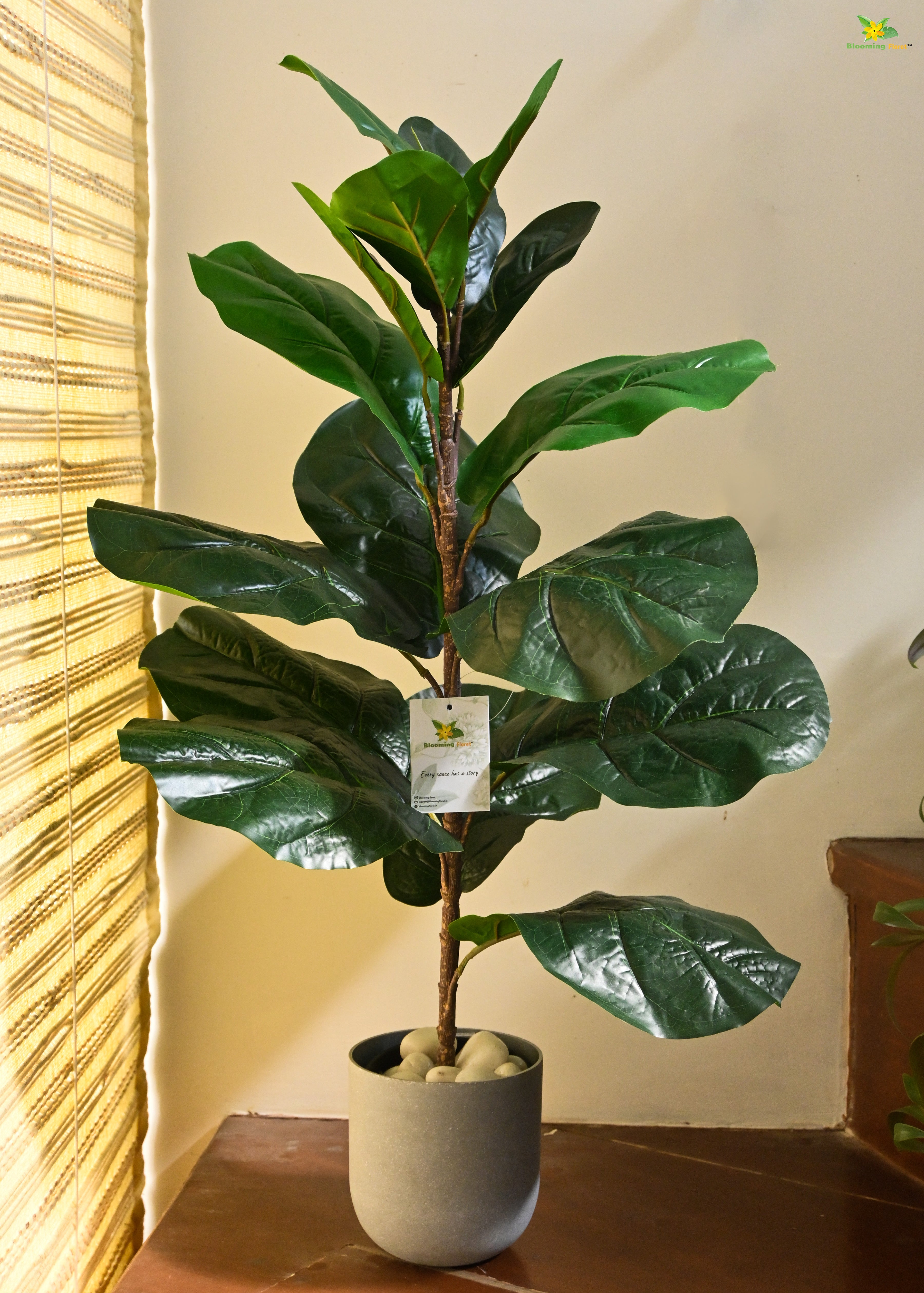 Artificial Fiddle-Leaf Fig Plant for Decor 16 Leaves with Basic Pot | 66 cm