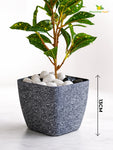 Coarse Textured Square Planter Pot | 13 cm | Set of 5