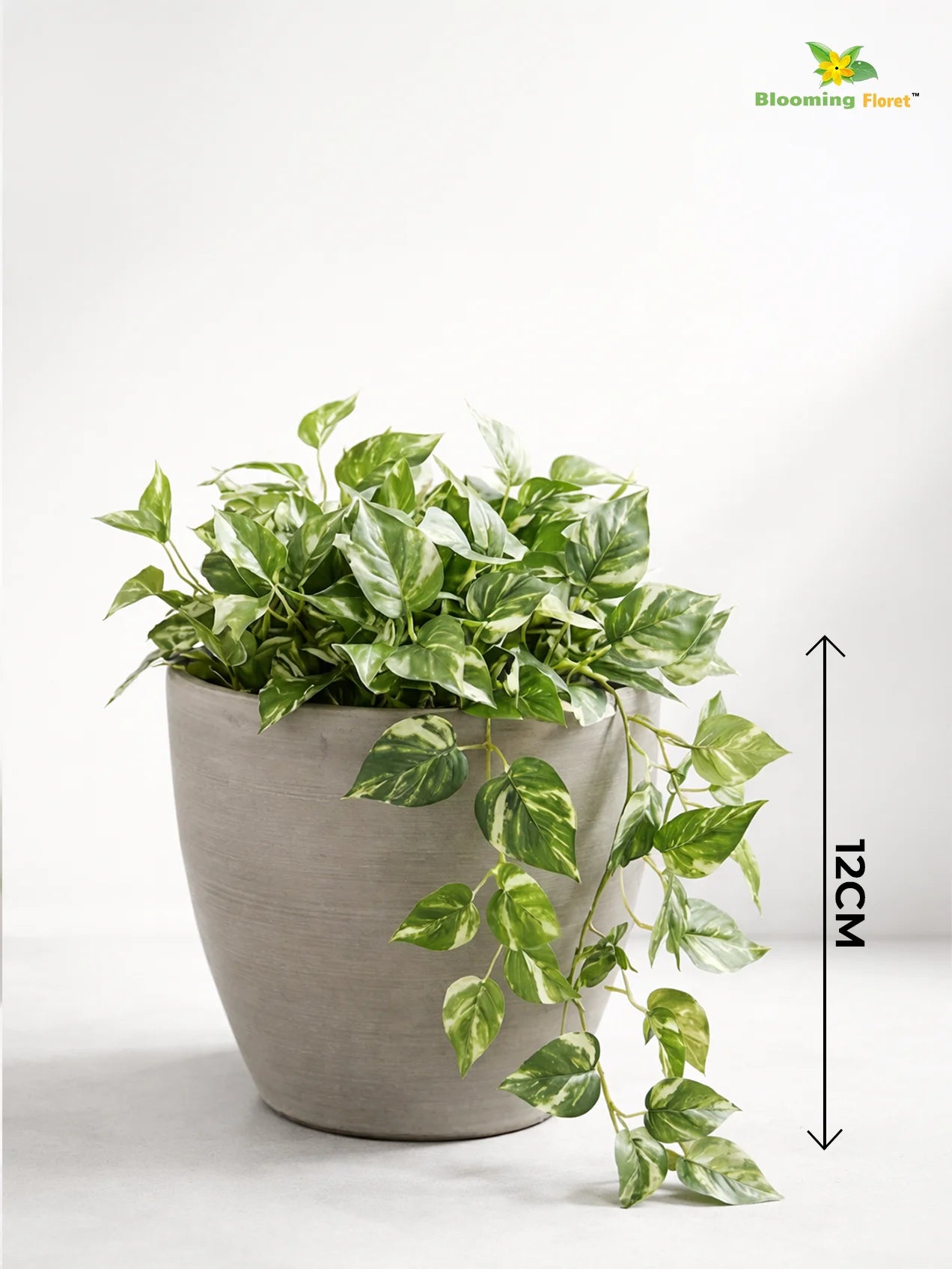 Decorative Pots |Light Brown | 12 cm