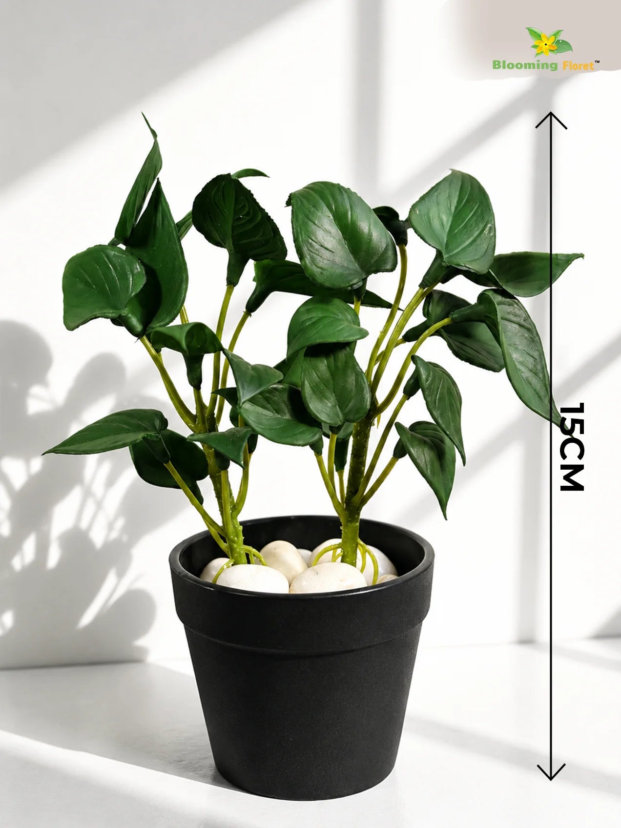 Artificial Money Plant Succulent | Dark Green | 15 cm | Set of 3