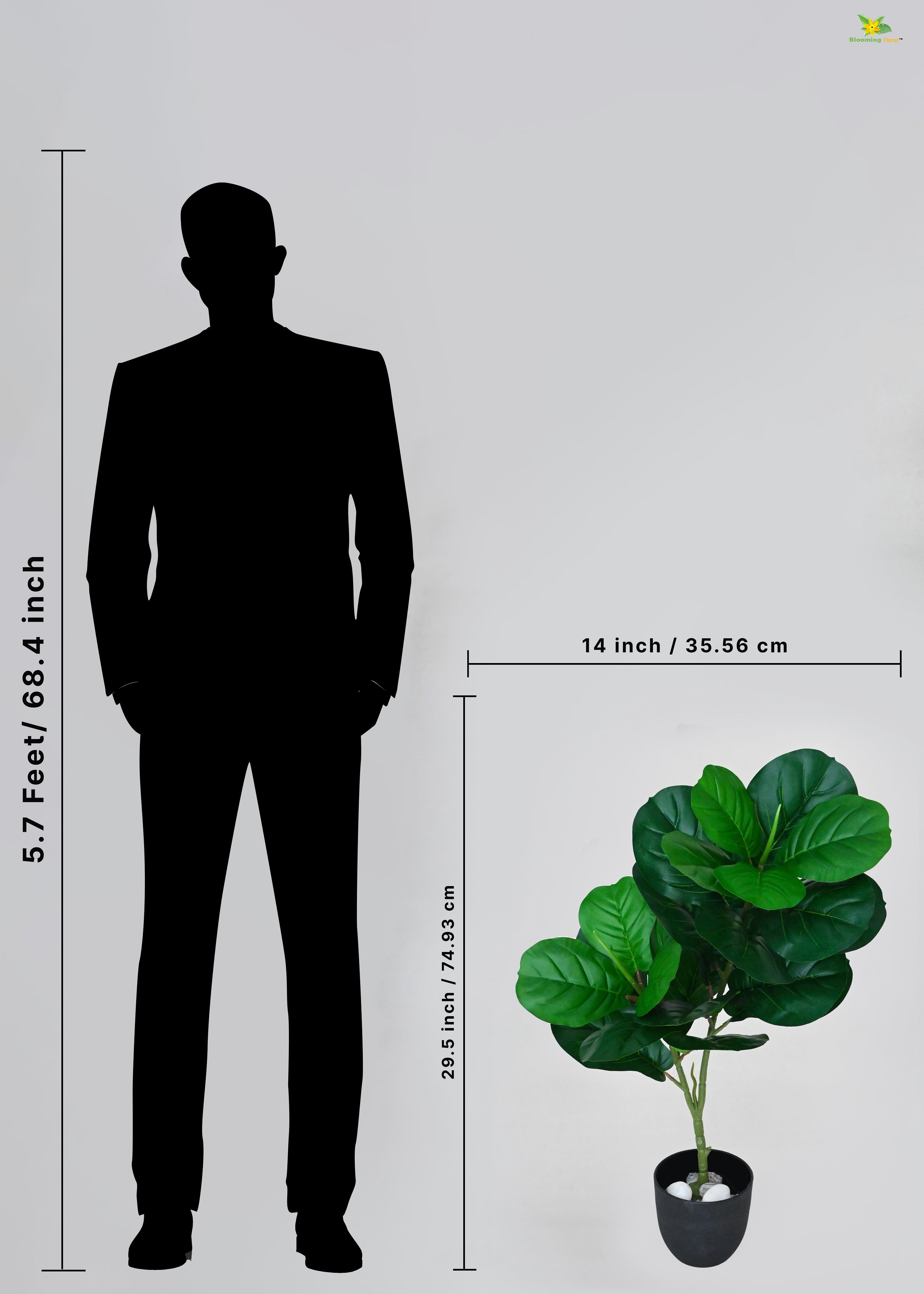 Artificial Fiddle-Leaf Fig Plant for Decor | 24 Leaves with Basic Pot | 74.9 cm