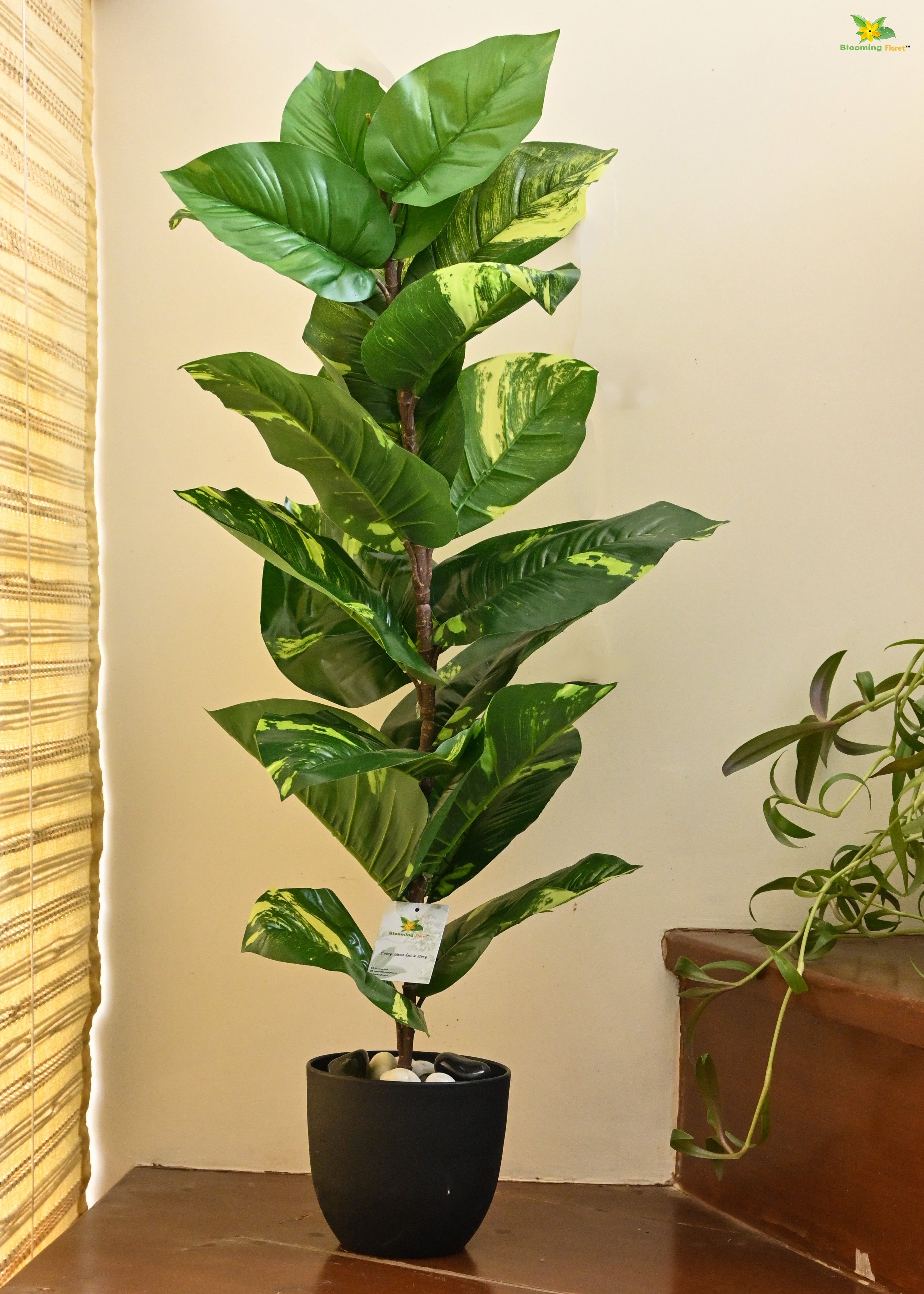 Artificial Dieffenbachia Plant for Decor 21 Leaves with Basic Pot | 86.3 cm