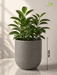 Round Base Fiber Pot | Grey | 10 cm
