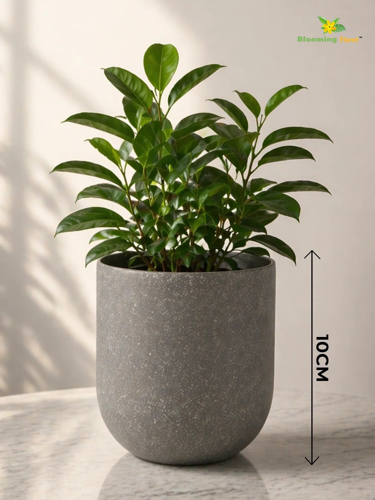 Round Base Fiber Pot | Grey | 10 cm