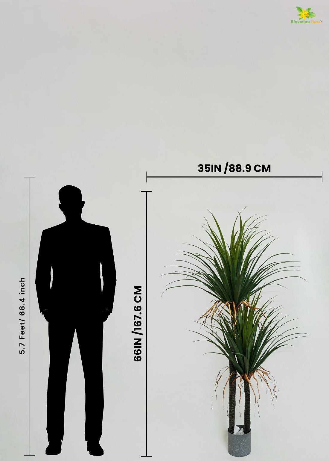 Artificial Yucca Plant | 167.6 cm Tall | Without Pots