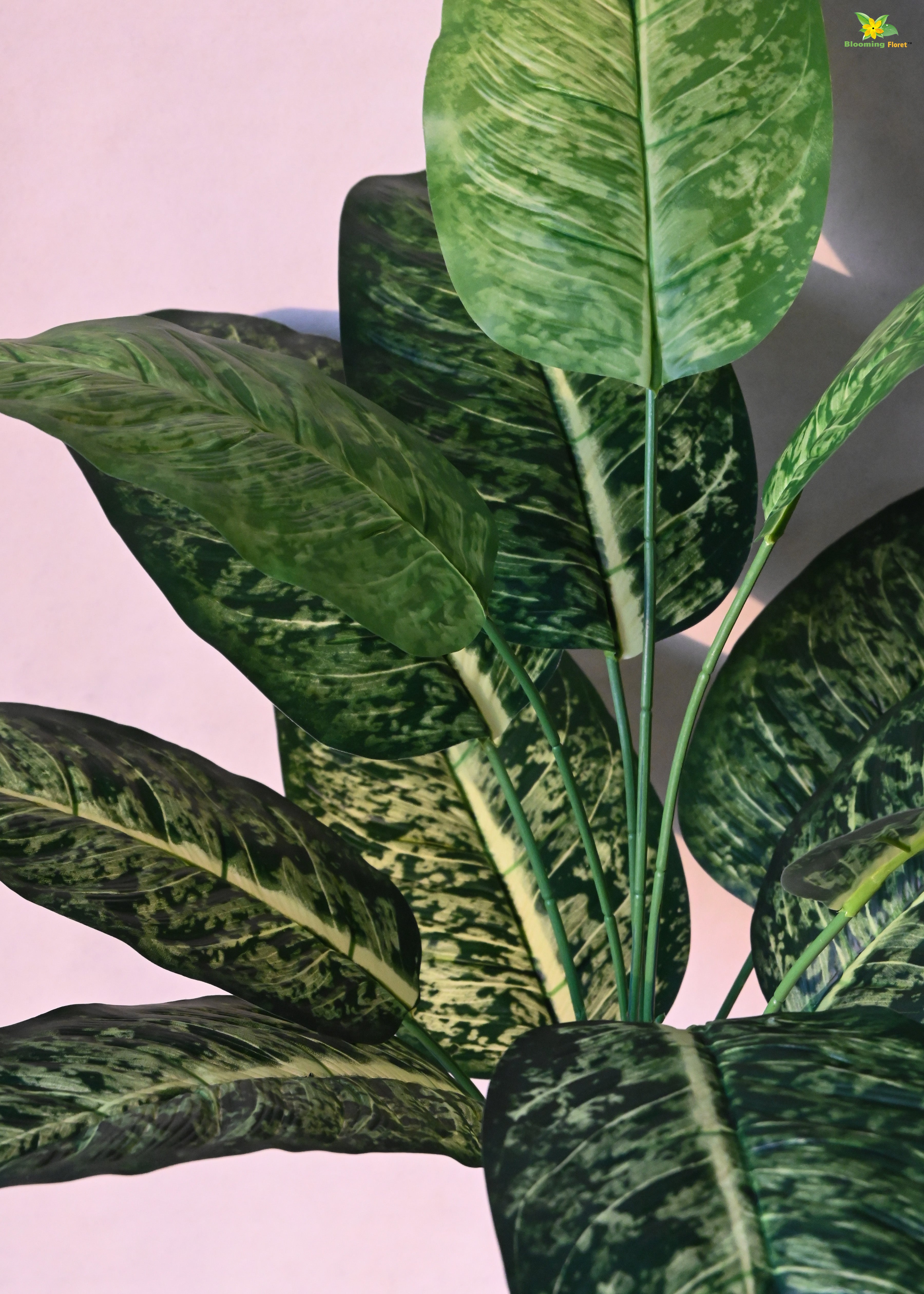 Artificial Dieffenbachia Plant for Decor 12 Leaves with Basic Pot | 63.5 cm