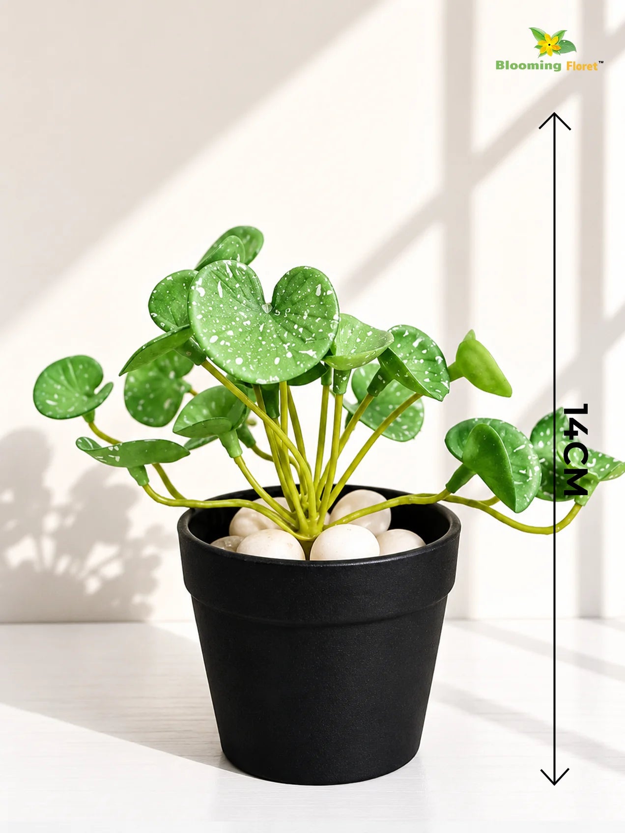 Lush Leaf Pennywort Artificial Succulent | Dark Green & White | 14 cm | Set of 3