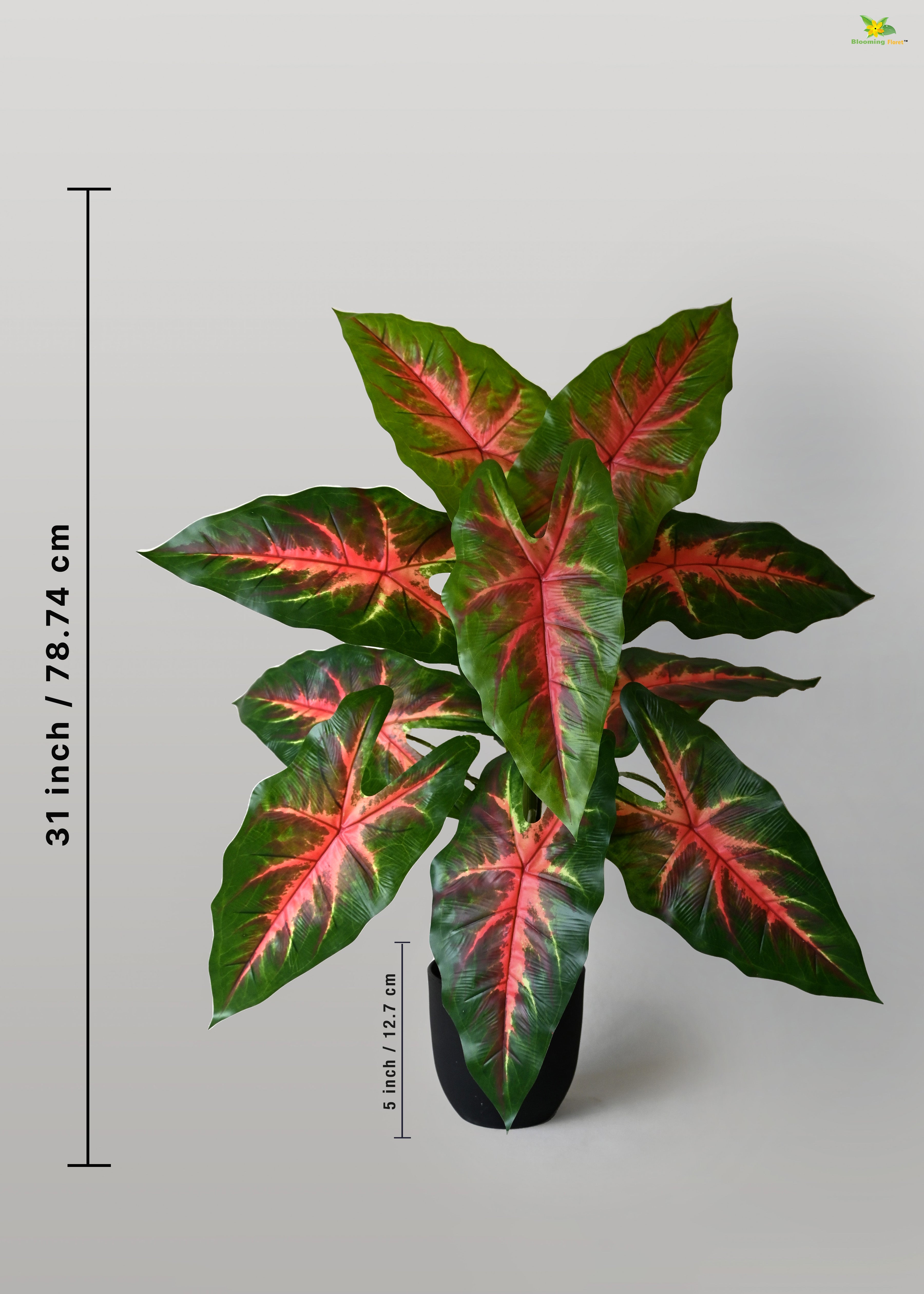 Artificial Red Patched Caladium Plant for Decor | 12 Leaves with Basic Pot | 78.7 cm