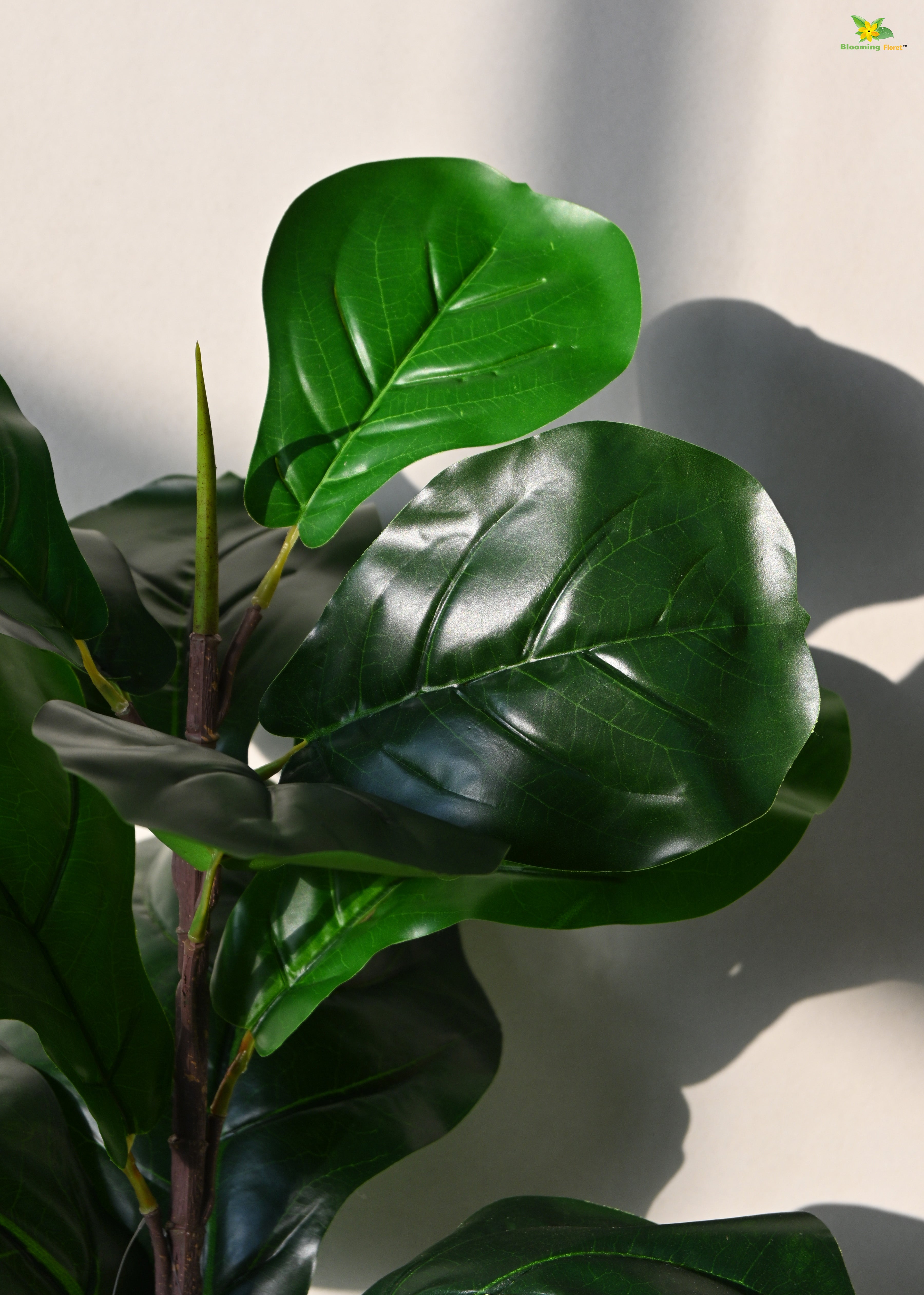 Artificial Fiddle-Leaf Fig Plant for Decor 11 Leaves with Basic Pot | 58.4 cm