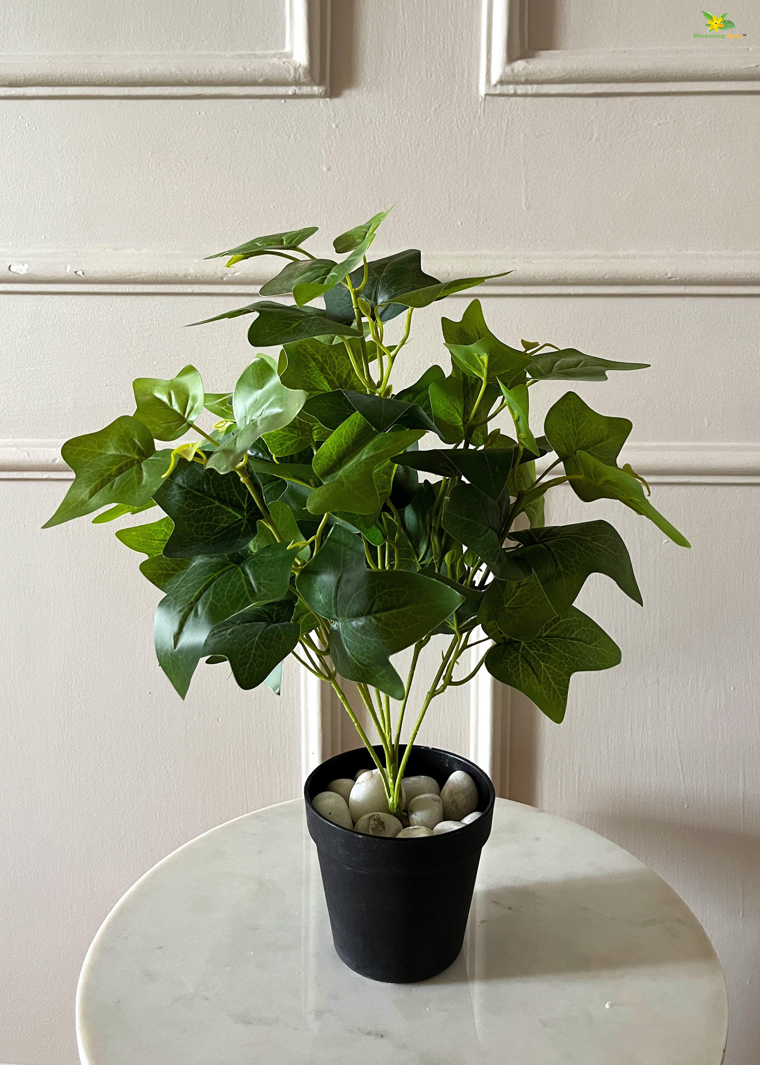 Artificial Japanese Ivy Plant for Decor | with Basic Pot | 48.3 cm