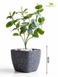 Coarse Textured Square Planter Pot | 15 cm | Set of 5
