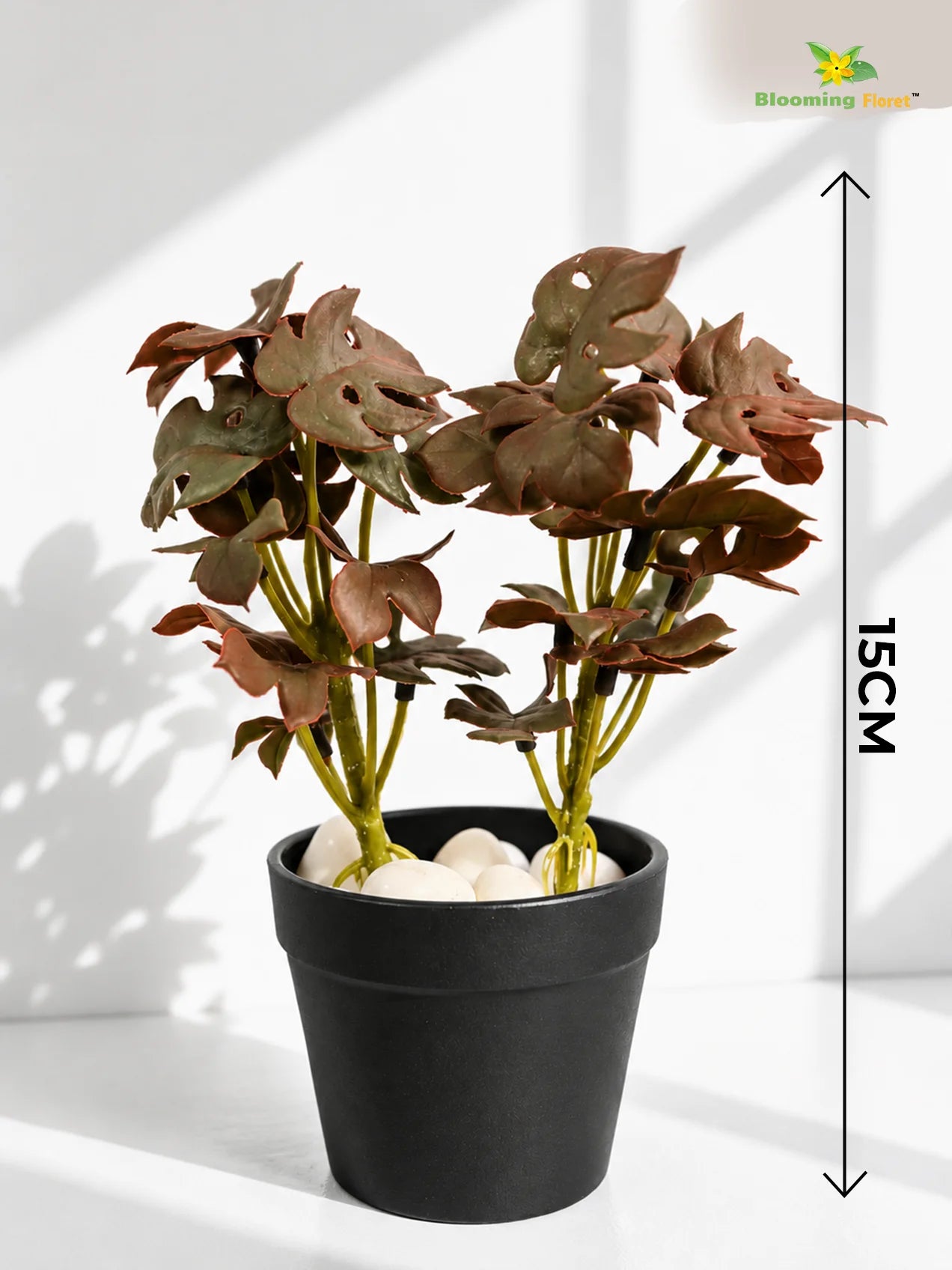 Artificial Mini Monstera Succulent | Maroon | 15 cm | Set of 3