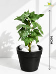 Artificial Ivy Succulent | Green | 16 cm