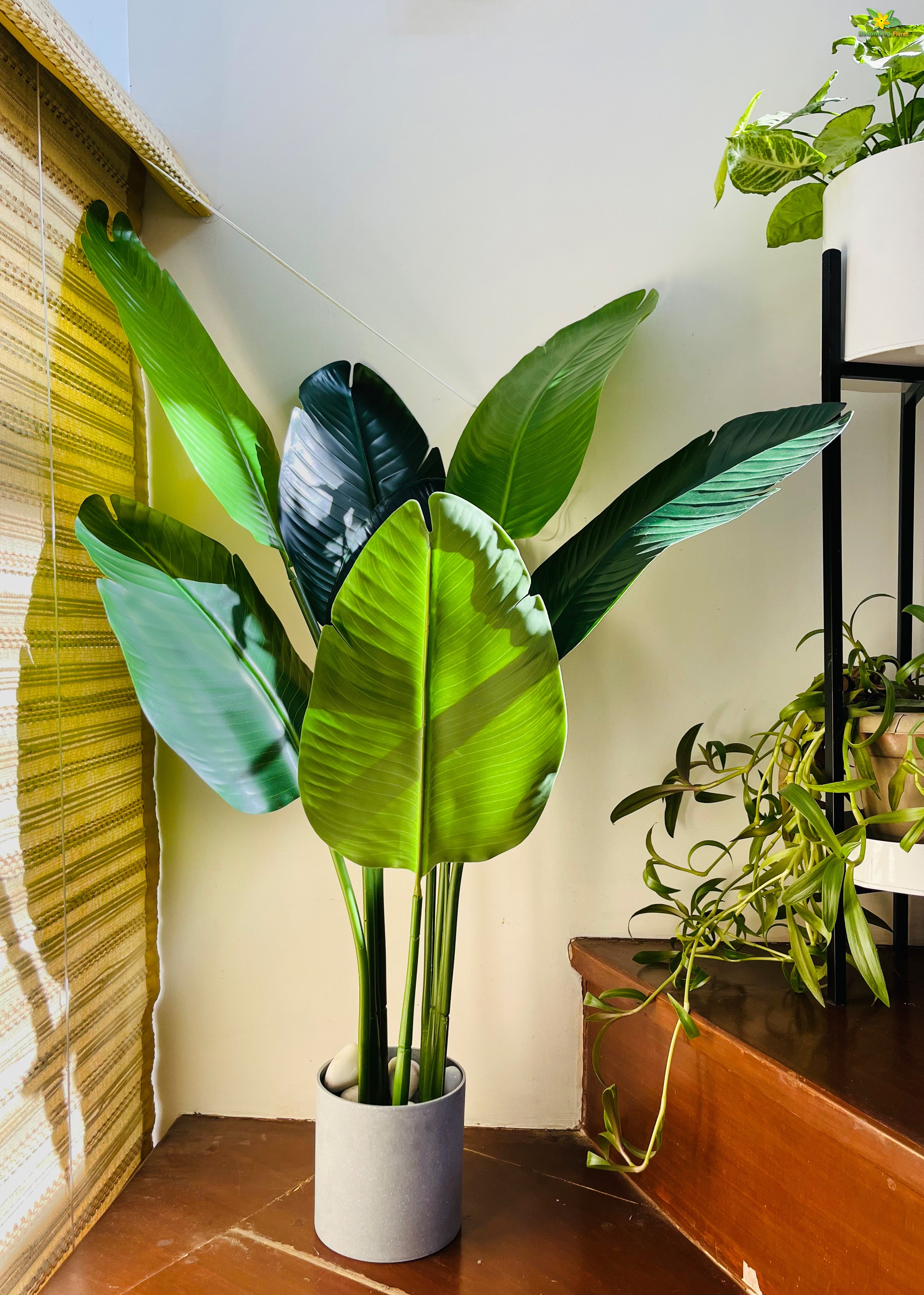 Artificial Banana Plant for Decor 3 Stem 7 Leaves with Basic Pot | 108 cm