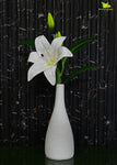 Spiral Ceramic Vase - Black and White