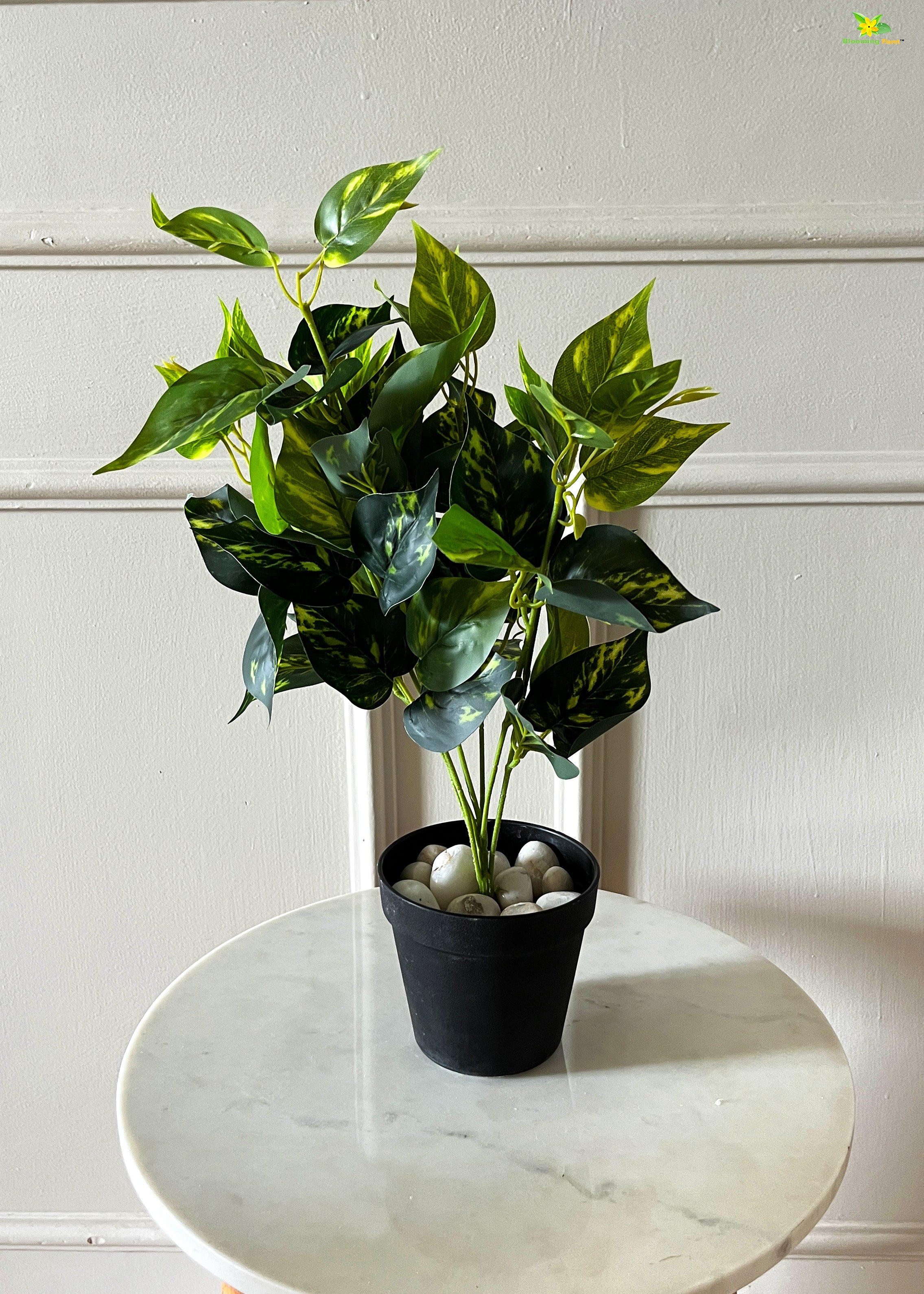 Artificial Golden Pothos for Decor | with Basic Pot | 48.3 cm