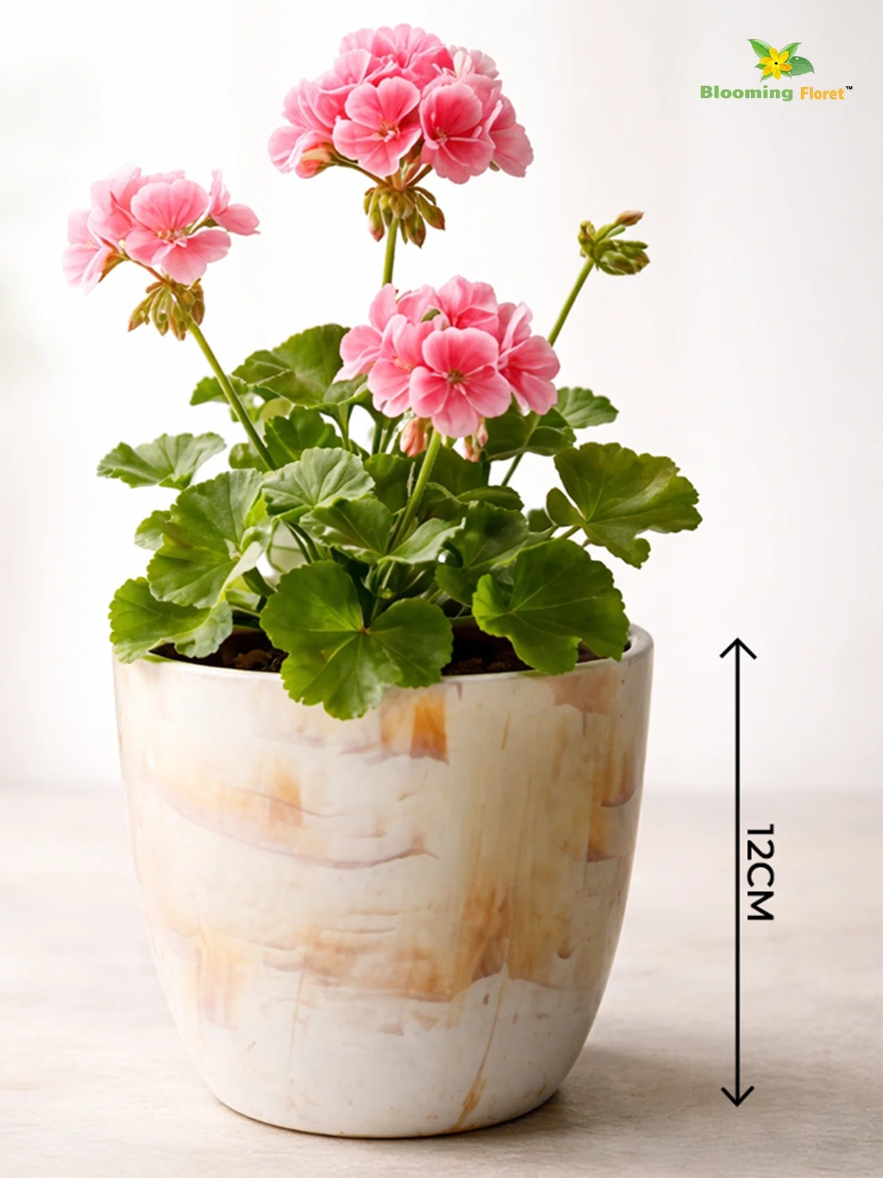Vivid Tie-Dye Planter | Beige | 12 cm