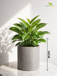 Cylinder Base Fiber Pot | Grey | 14 cm